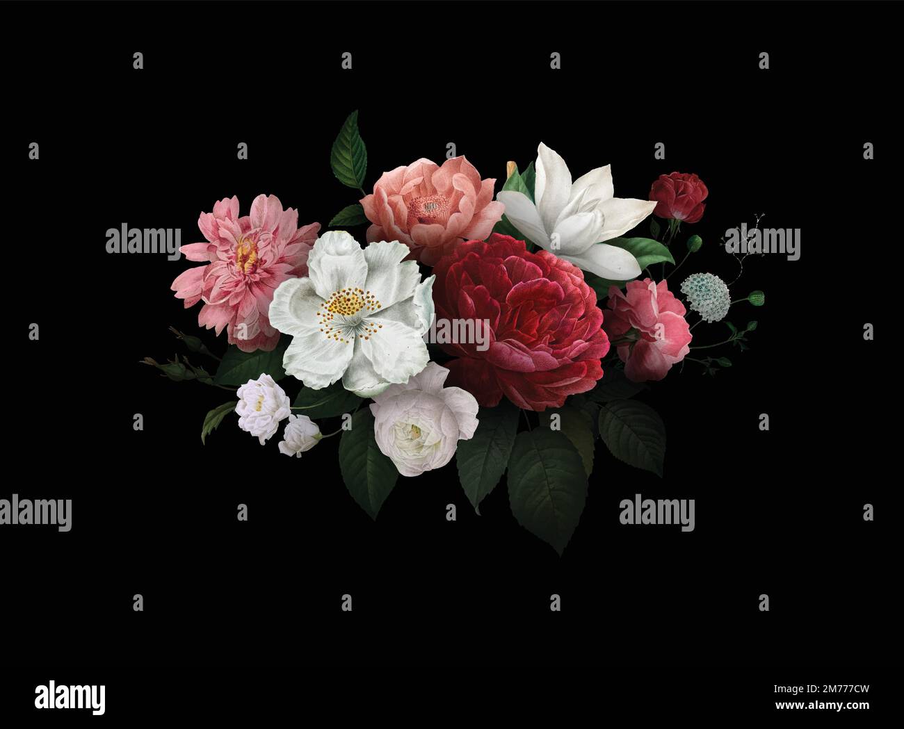 Beautiful hand drawn various roses vector Stock Vector