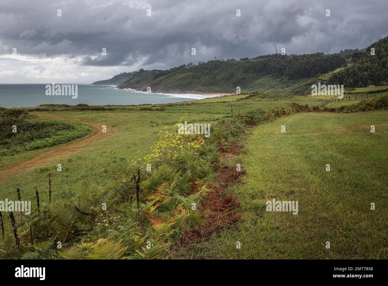Coastal Path to Arenal de Moris Beach in Asturias, Spain Stock Photo