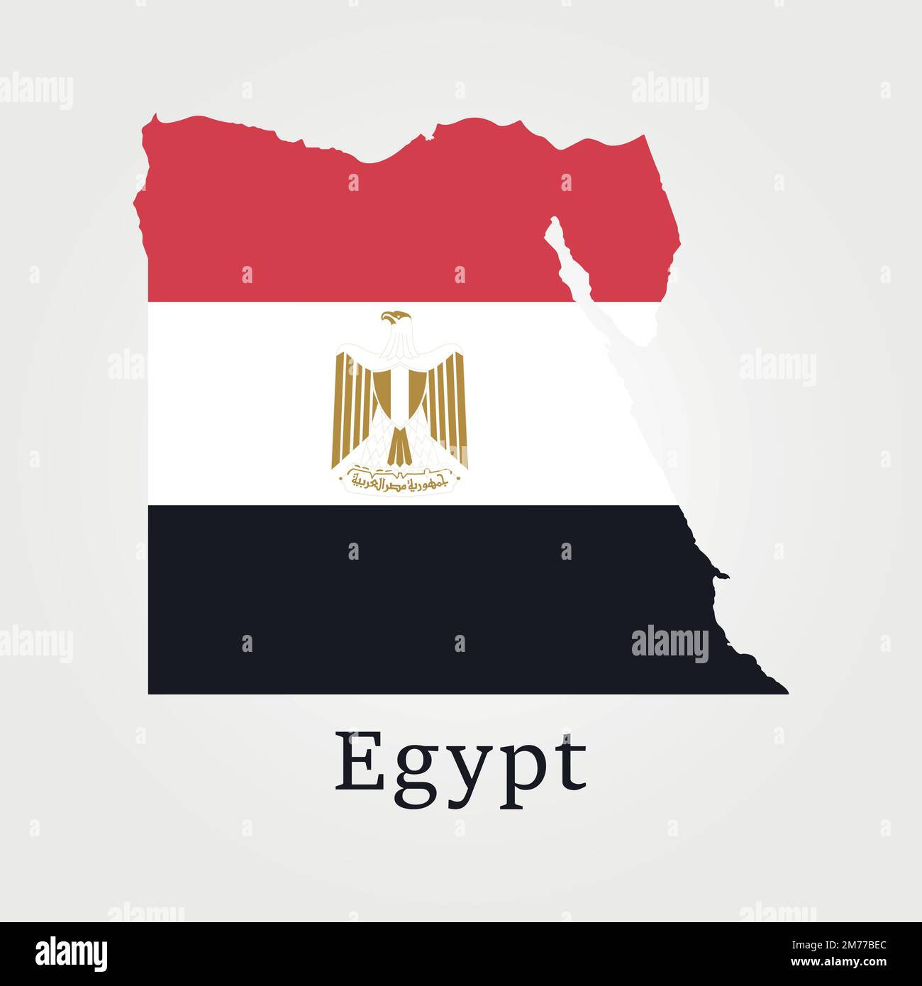 Flag and Map of Egypt Stock Vector