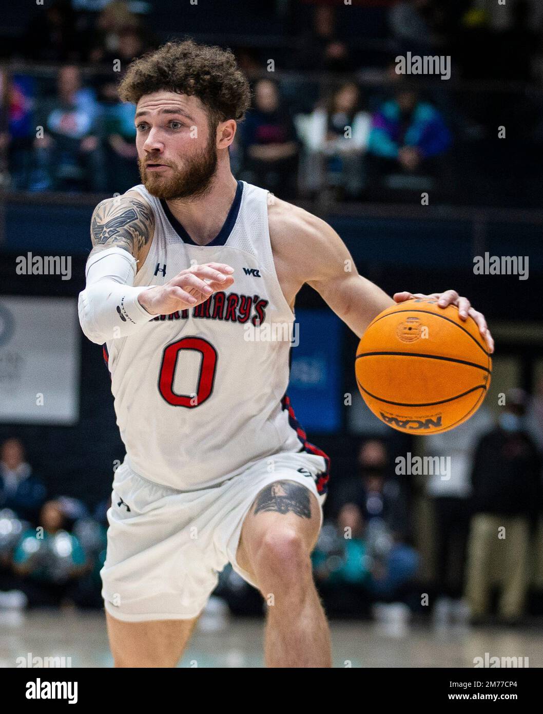 Portland pilots mens basketball hi-res stock photography and images - Alamy