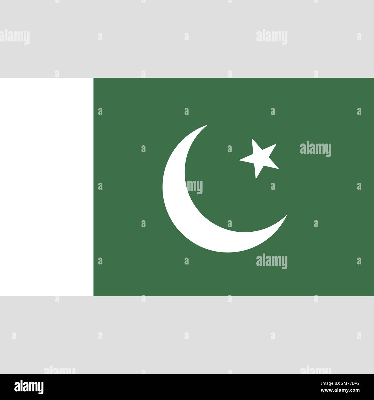 Simple flag of Pakistan. Pakistani flag. Correct size, proportion
