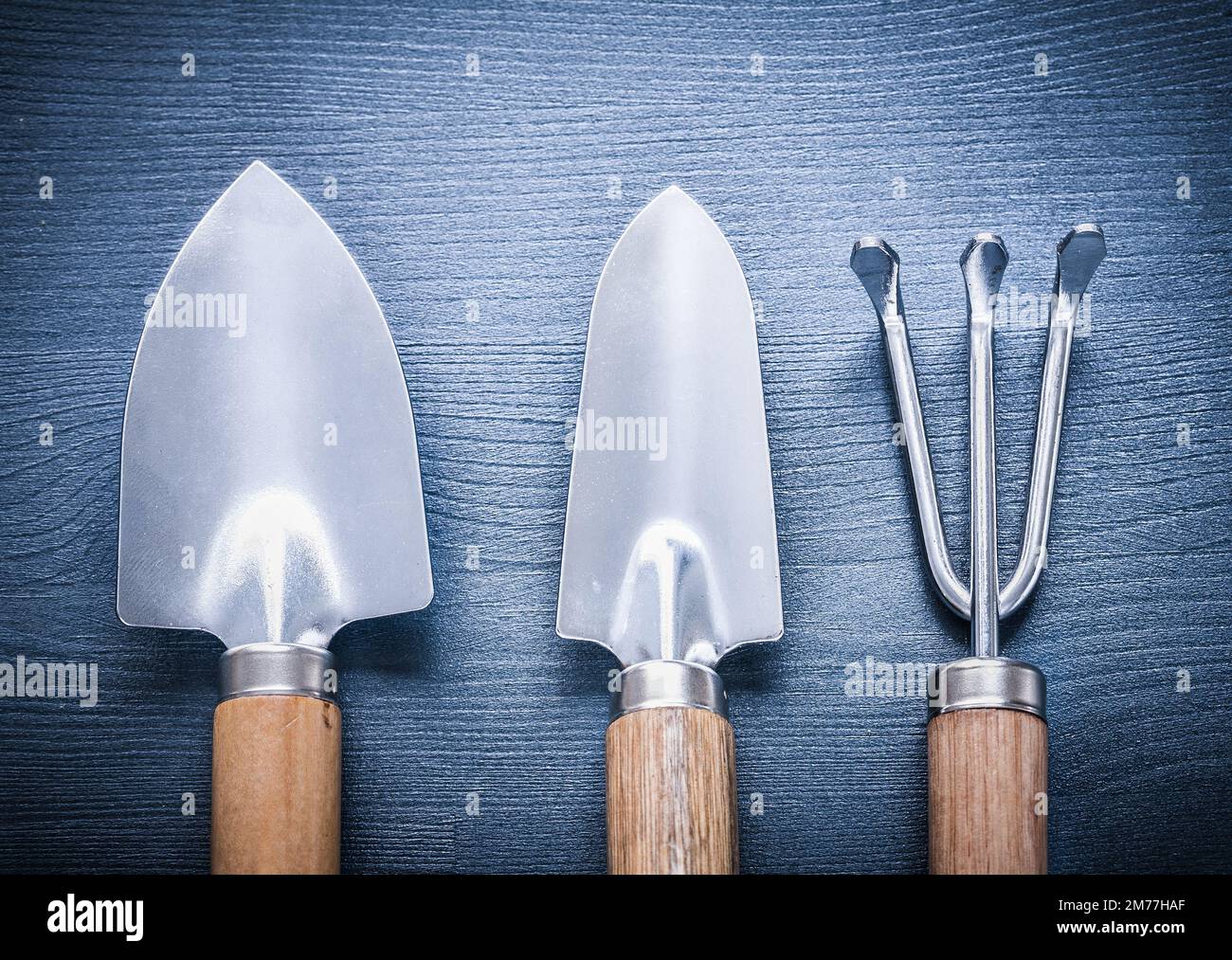two garden spades and fork Stock Photo Alamy
