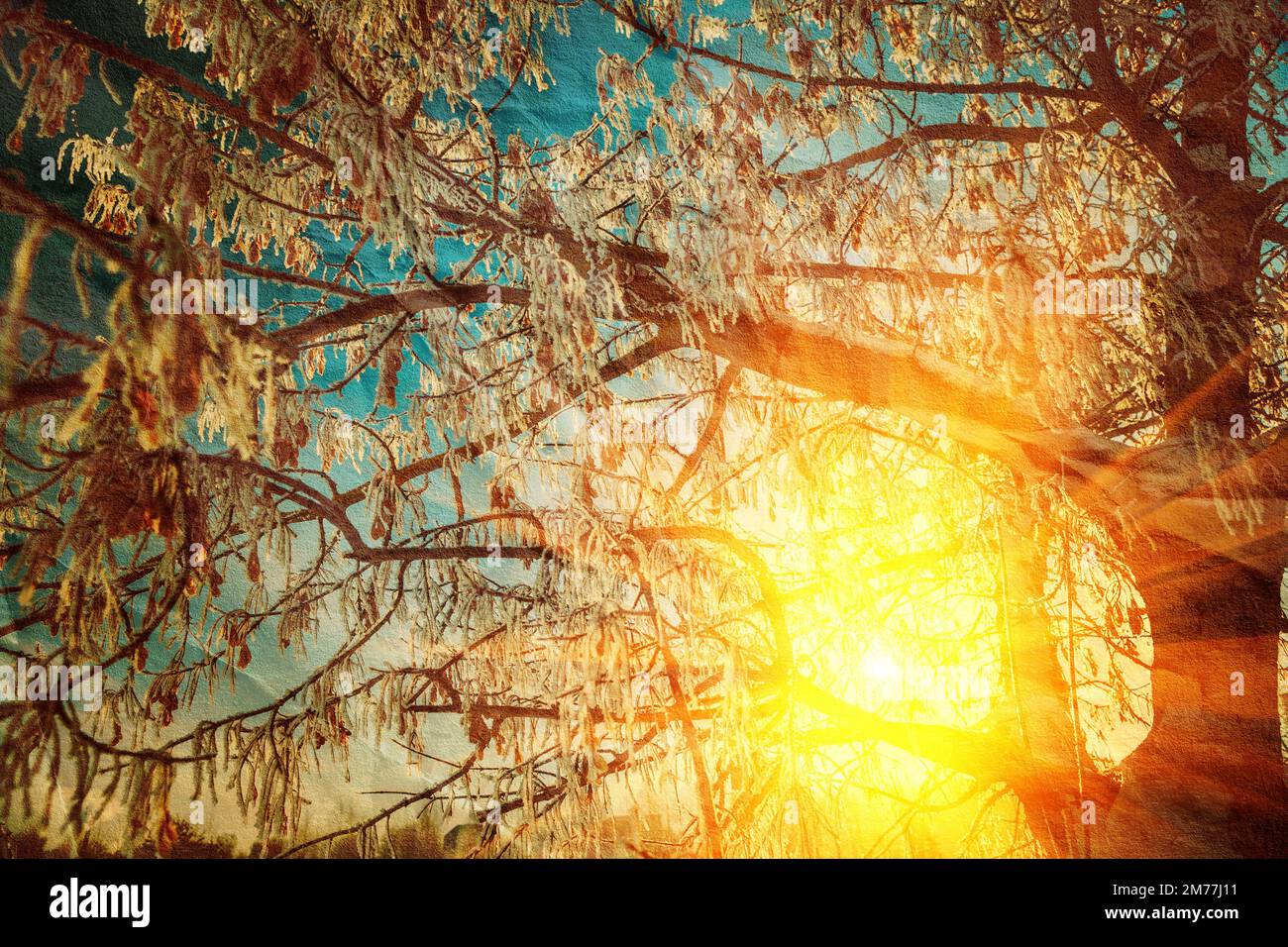 view through frosty crone of the tree with non fallen autumn leaves with texture of old crumpled paper instagram stile Stock Photo