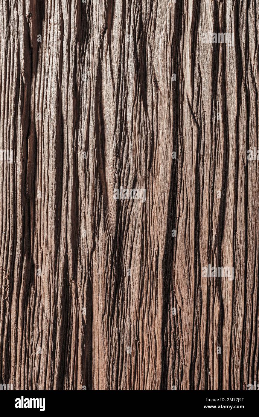Vintage natural textured wooden backcloth. Stock Photo