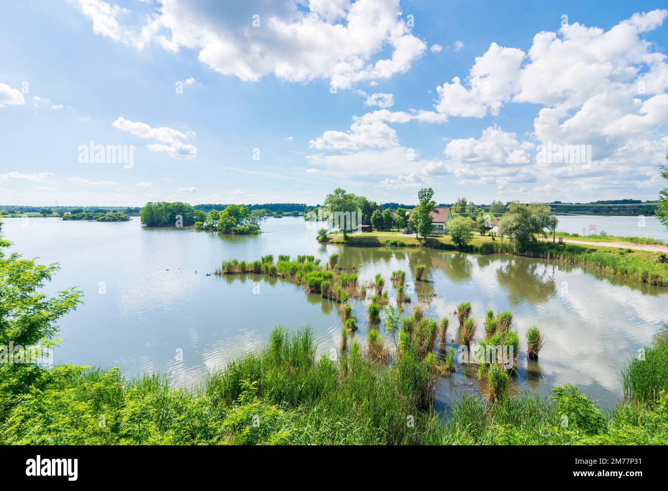Gbely (Egbell): pond of former gravel pit Strkovisko Adamov in