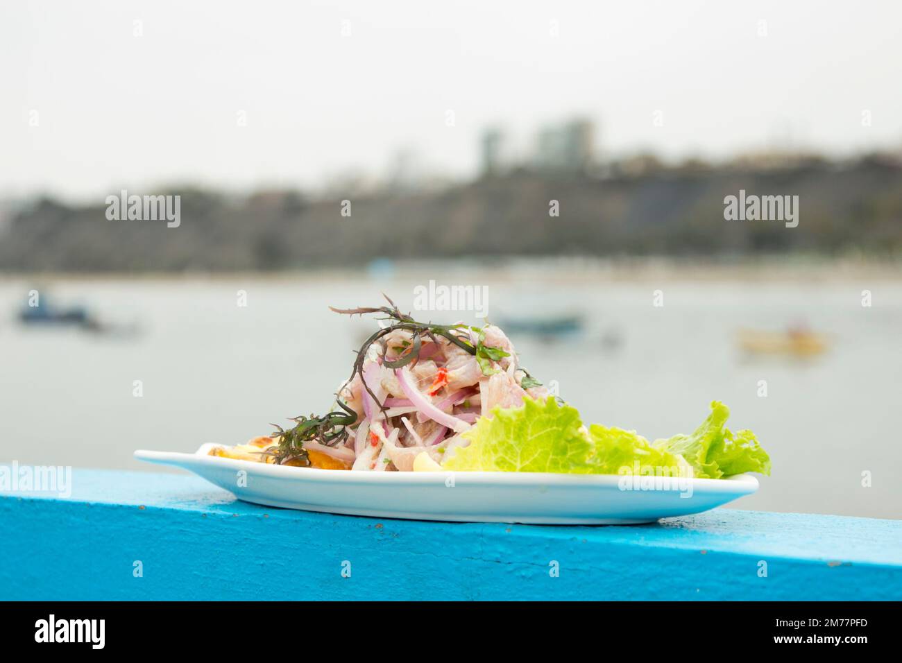Preparing a delicious Peruvian sea bass ceviche in the fishing port of
