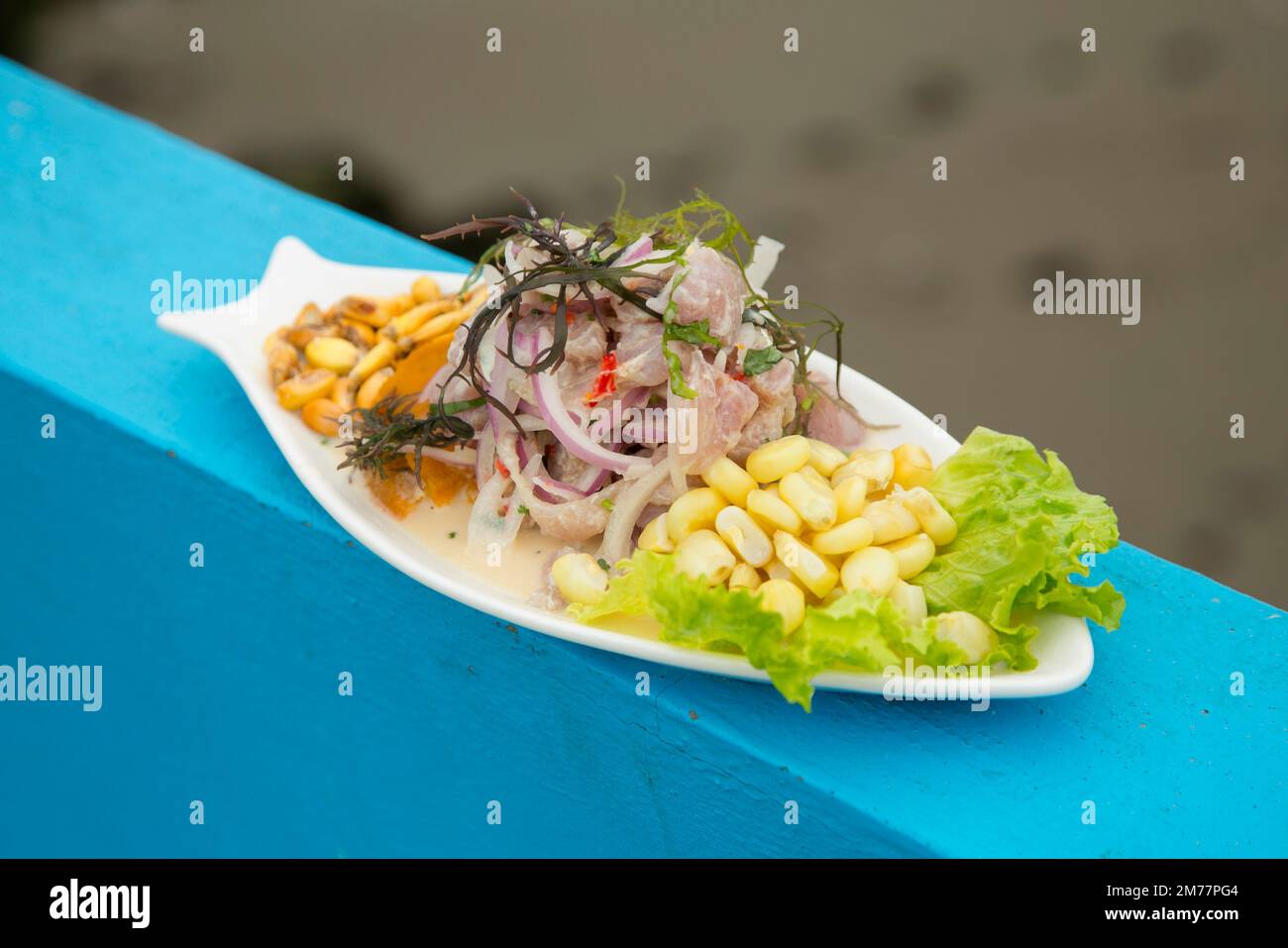 Preparing a delicious Peruvian sea bass ceviche in the fishing port of