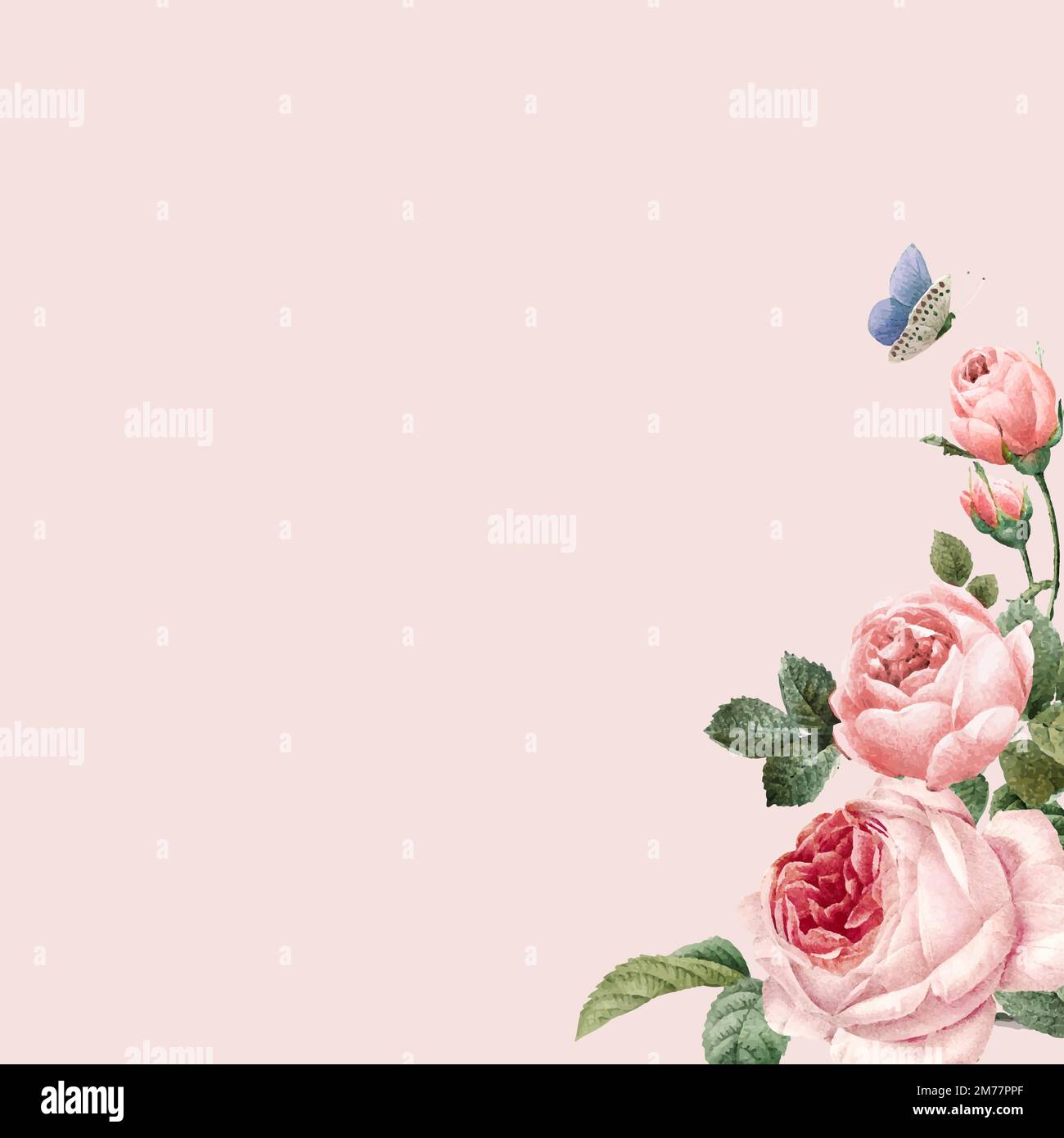 Hand drawn pink roses frame on pastel pink background vector Stock Vector