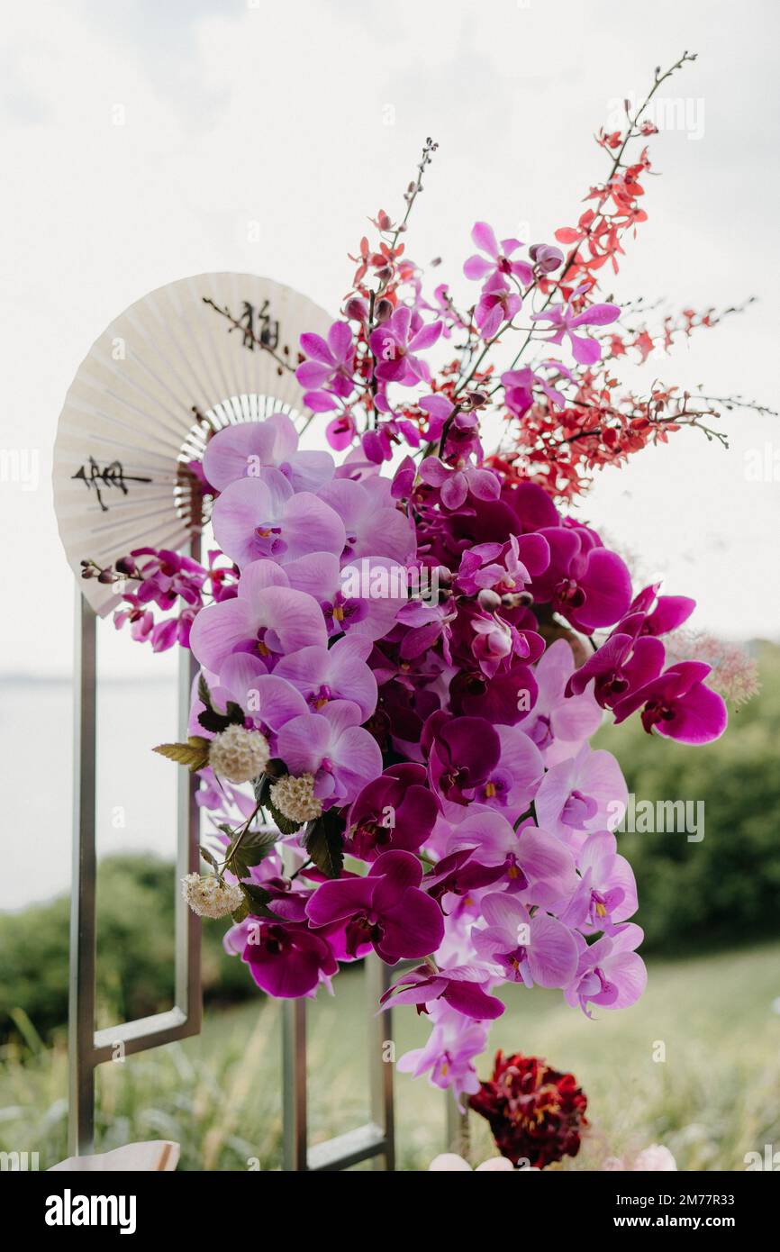 The pink Phalaenopsis or Moth dendrobium Orchid flowers and a white Chinese fan outdoors Stock Photo