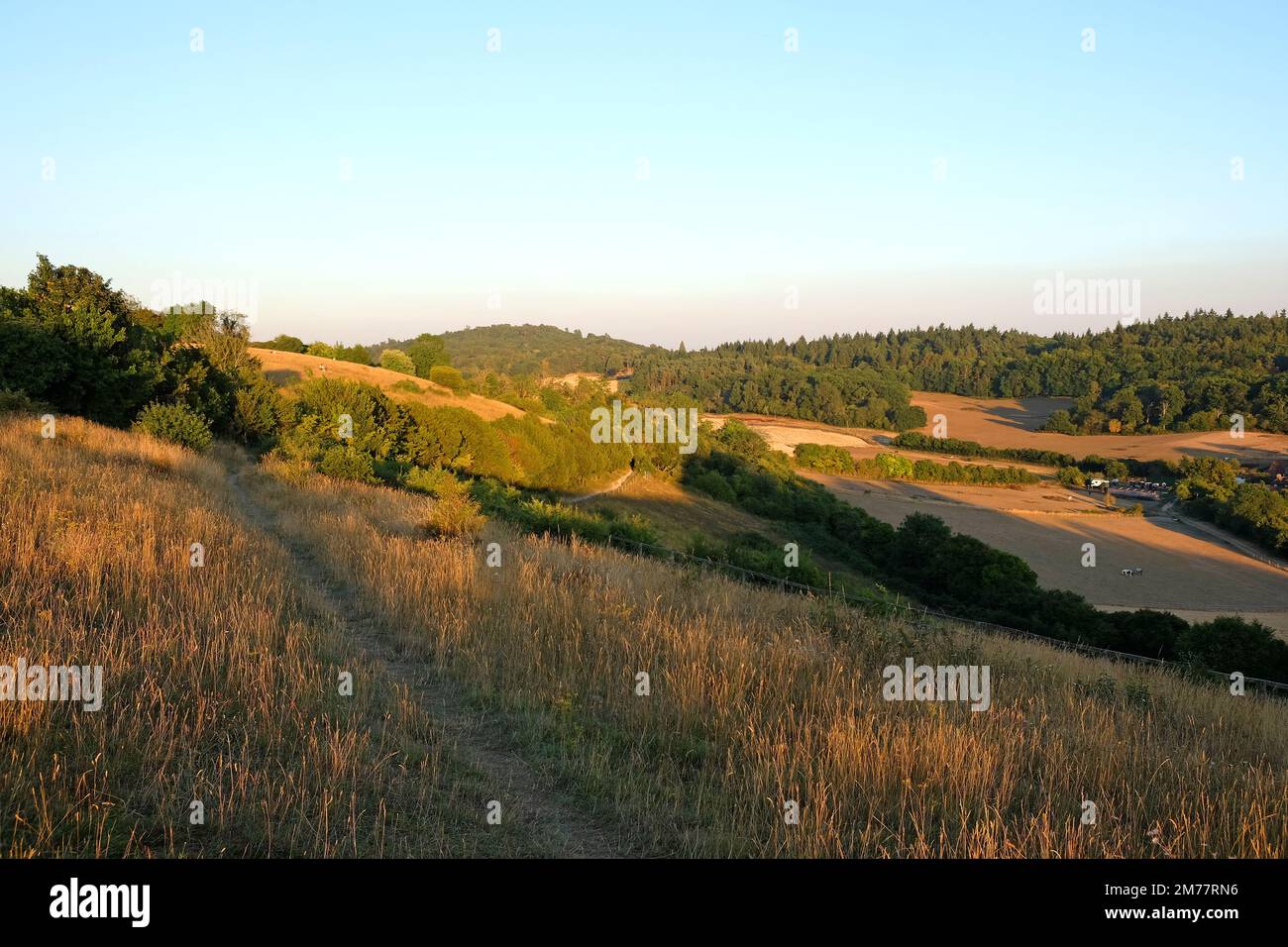 Views from Pewley Down in Guildford, Surrey during the summer drought of 2021. Stock Photo