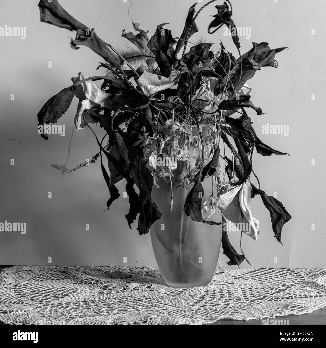 black and white photo with flowers in a vase, many different colorful