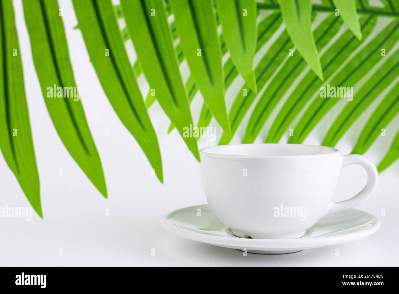 White mug and saucer on a white background, near palm leaves. A set of porcelain or ceramic dishes. Copy space Stock Photo