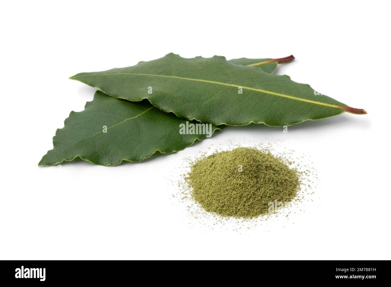 Pair of fresh bay leaves and a heap of bay leaf powder close up on white background Stock Photo
