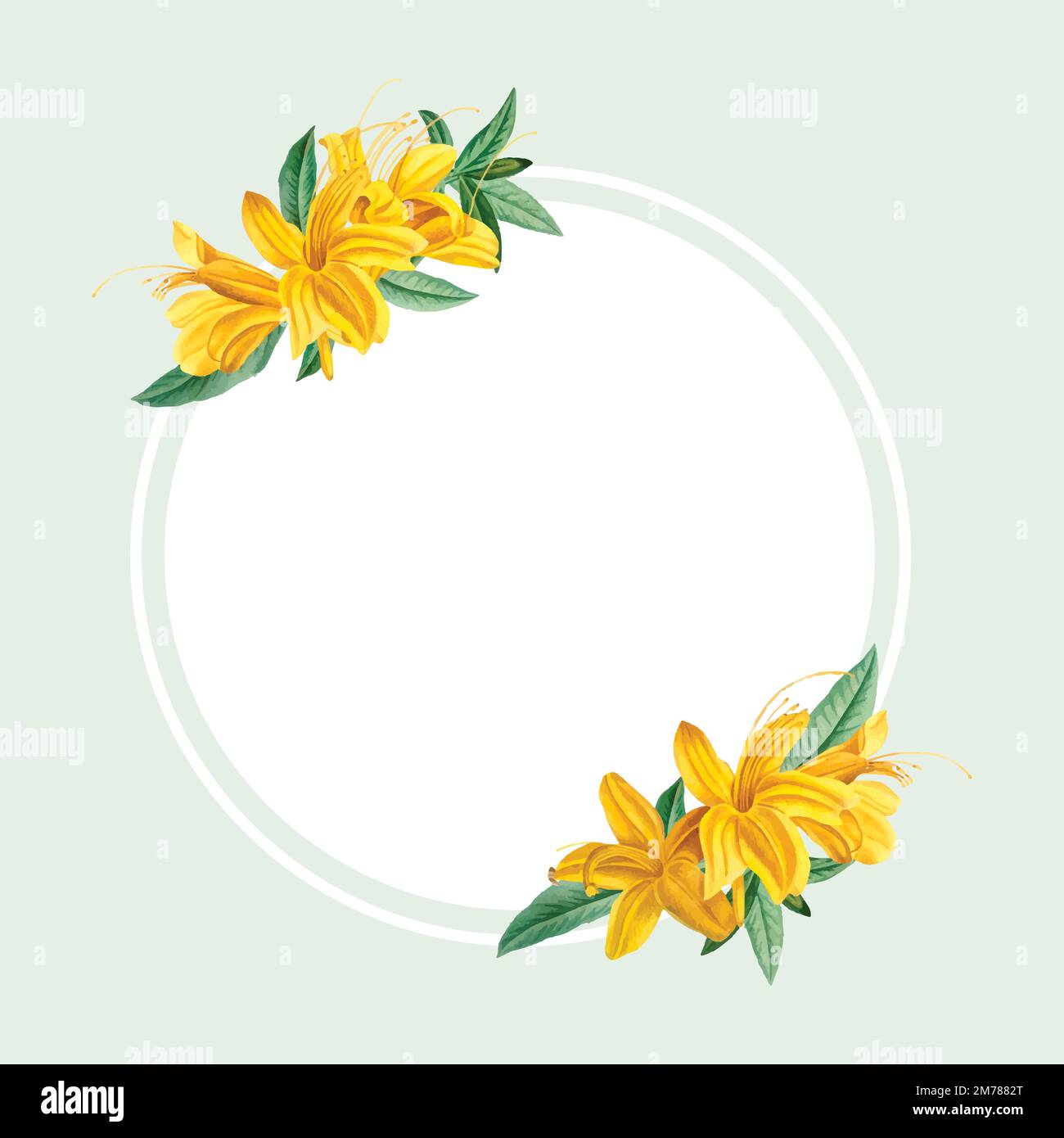 Vintage rhododendron flavum on a frame vector Stock Vector
