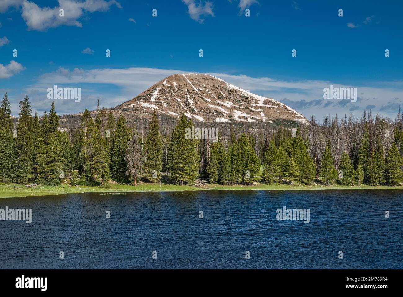 Lilly Lake, Mount Watson, Mirror Lake Scenic Byway, Uinta Mountains, Uinta Wasatch Cache National Forest, Utah, USA Stock Photo