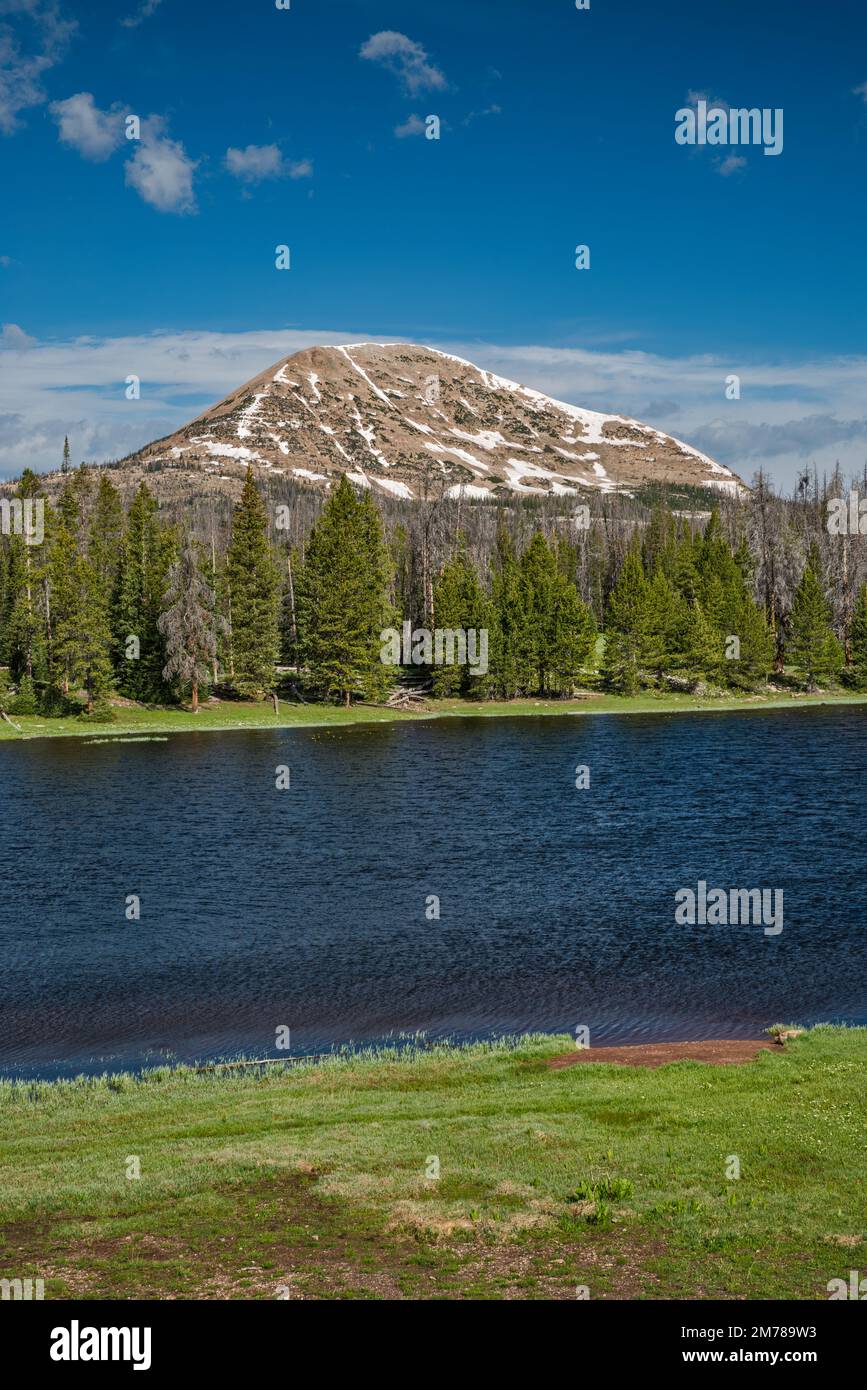 Lilly Lake, Mount Watson, Mirror Lake Scenic Byway, Uinta Mountains, Uinta Wasatch Cache National Forest, Utah, USA Stock Photo