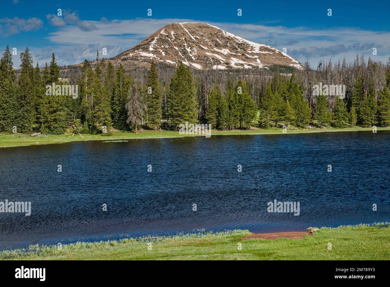 Lilly Lake, Mount Watson, Mirror Lake Scenic Byway, Uinta Mountains, Uinta Wasatch Cache National Forest, Utah, USA Stock Photo