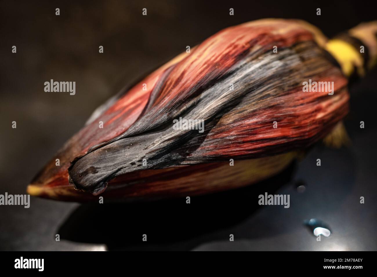 Edible banana blossom for healthy vegetable cuisine Stock Photo Alamy