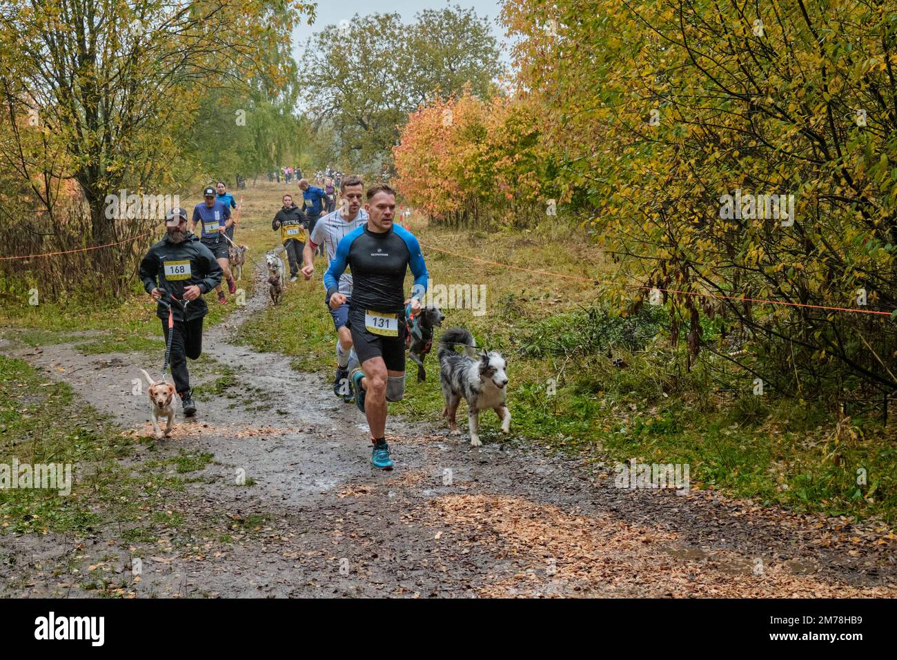 Dog owners run together with their dogs in an organized running competition. Bitsevski Park (Bitsa Park), Moscow, Russia. Stock Photo