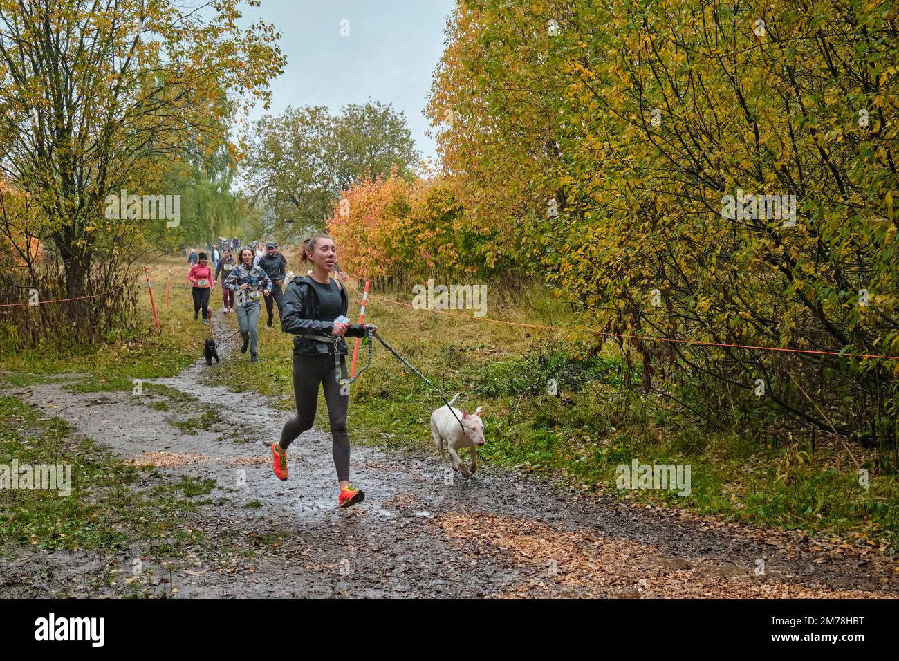 Dog owners run together with their dogs in an organized running competition. Bitsevski Park (Bitsa Park), Moscow, Russia. Stock Photo