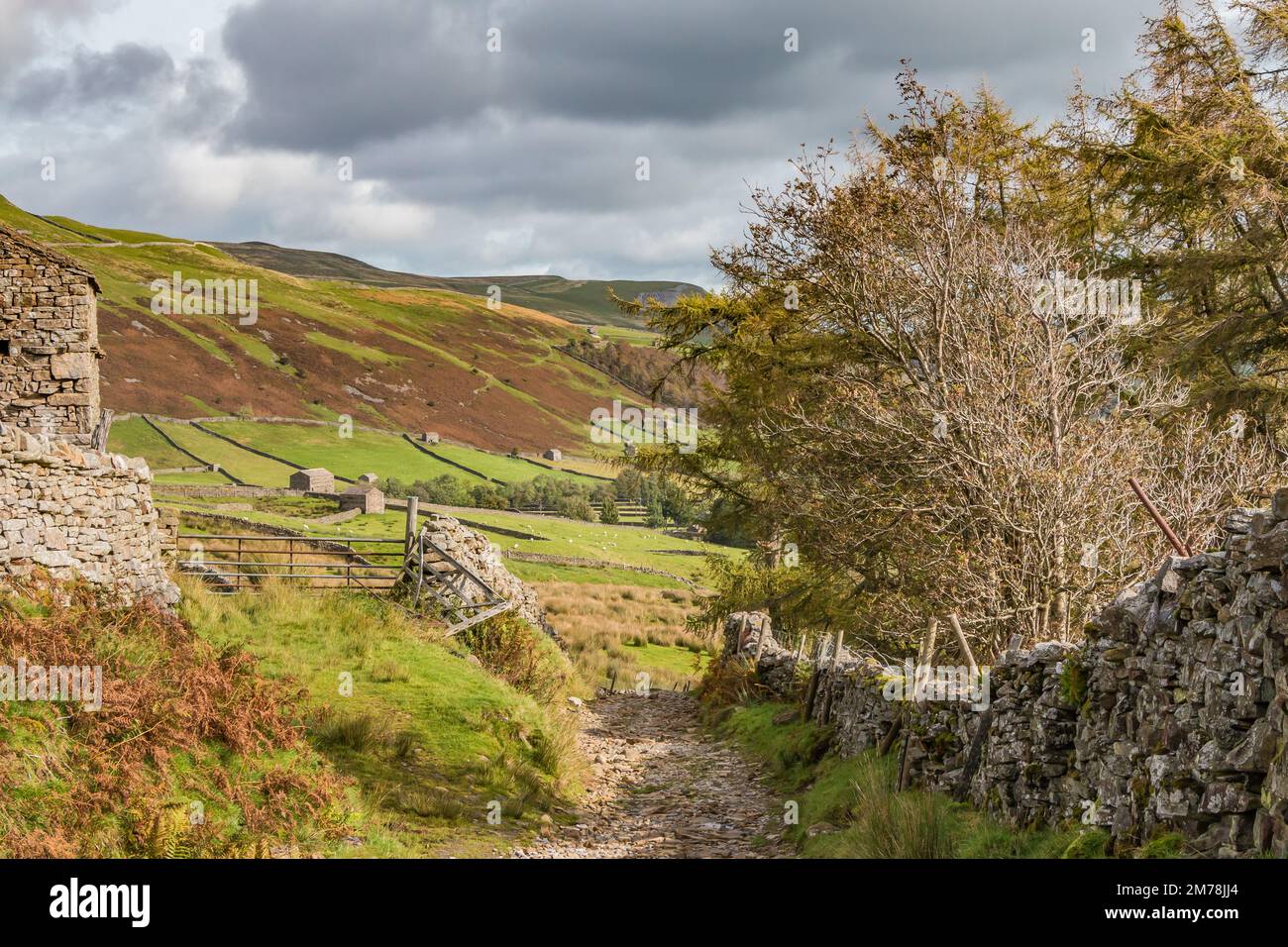 The Pennine Way long distance footpath drops down towards Thwaite in Swaledale after the descent from Great Shunner Fell Stock Photo