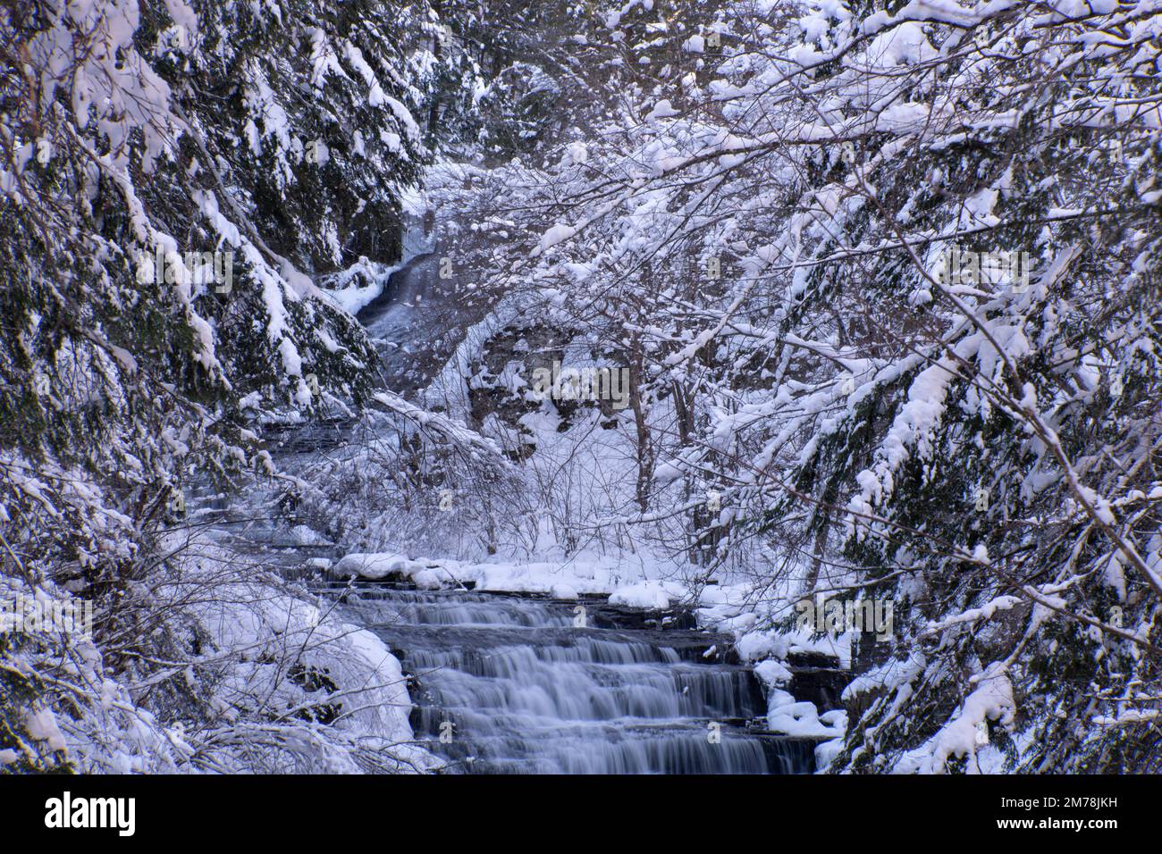 The Rensselaerville Falls surrounded by snow covered trees in December