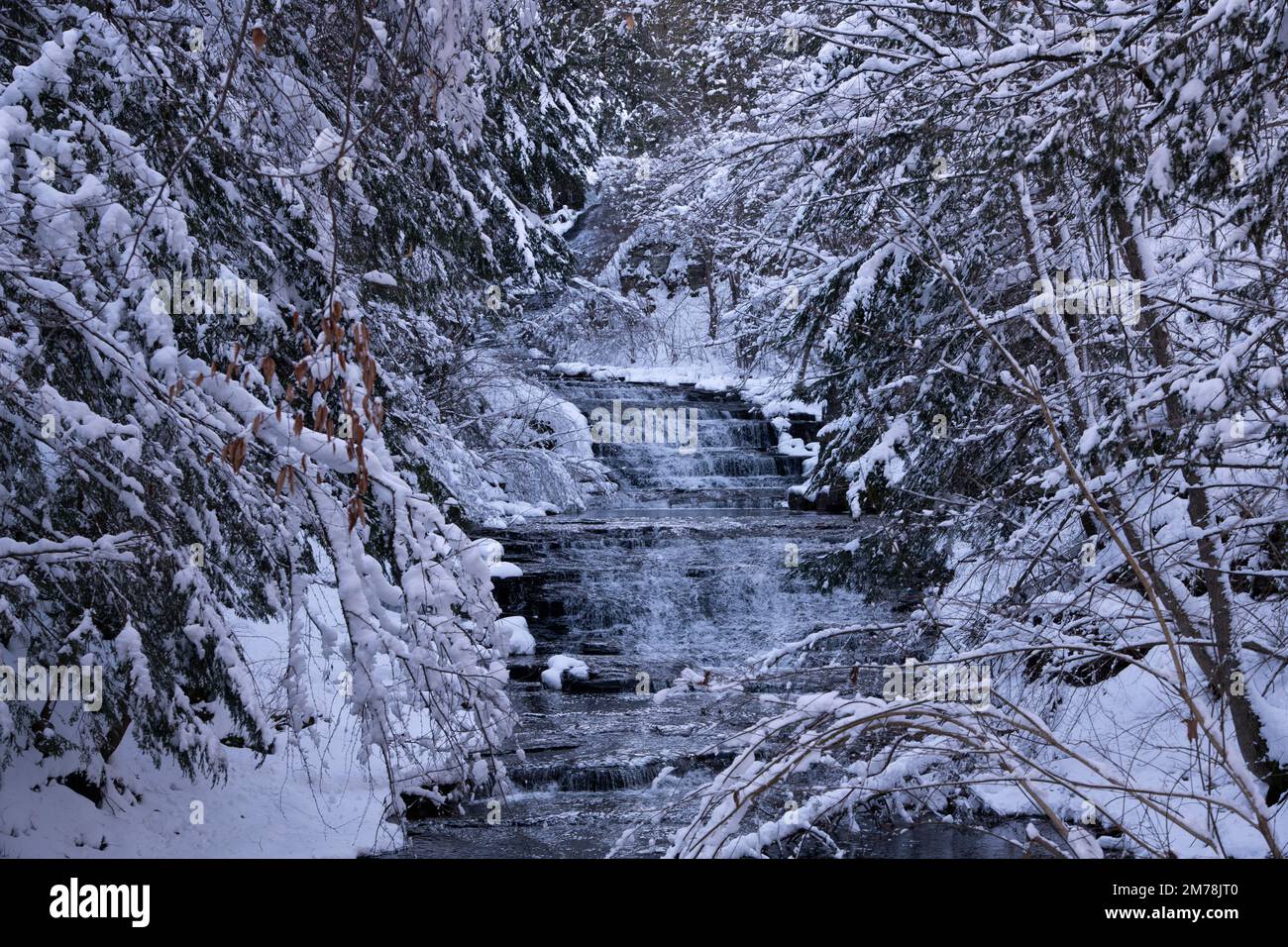 The Rensselaerville Falls surrounded by snow covered trees in December