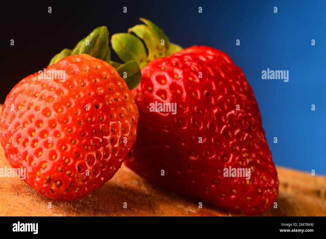 Strawberry on studio shot, blue background Stock Photo - Alamy