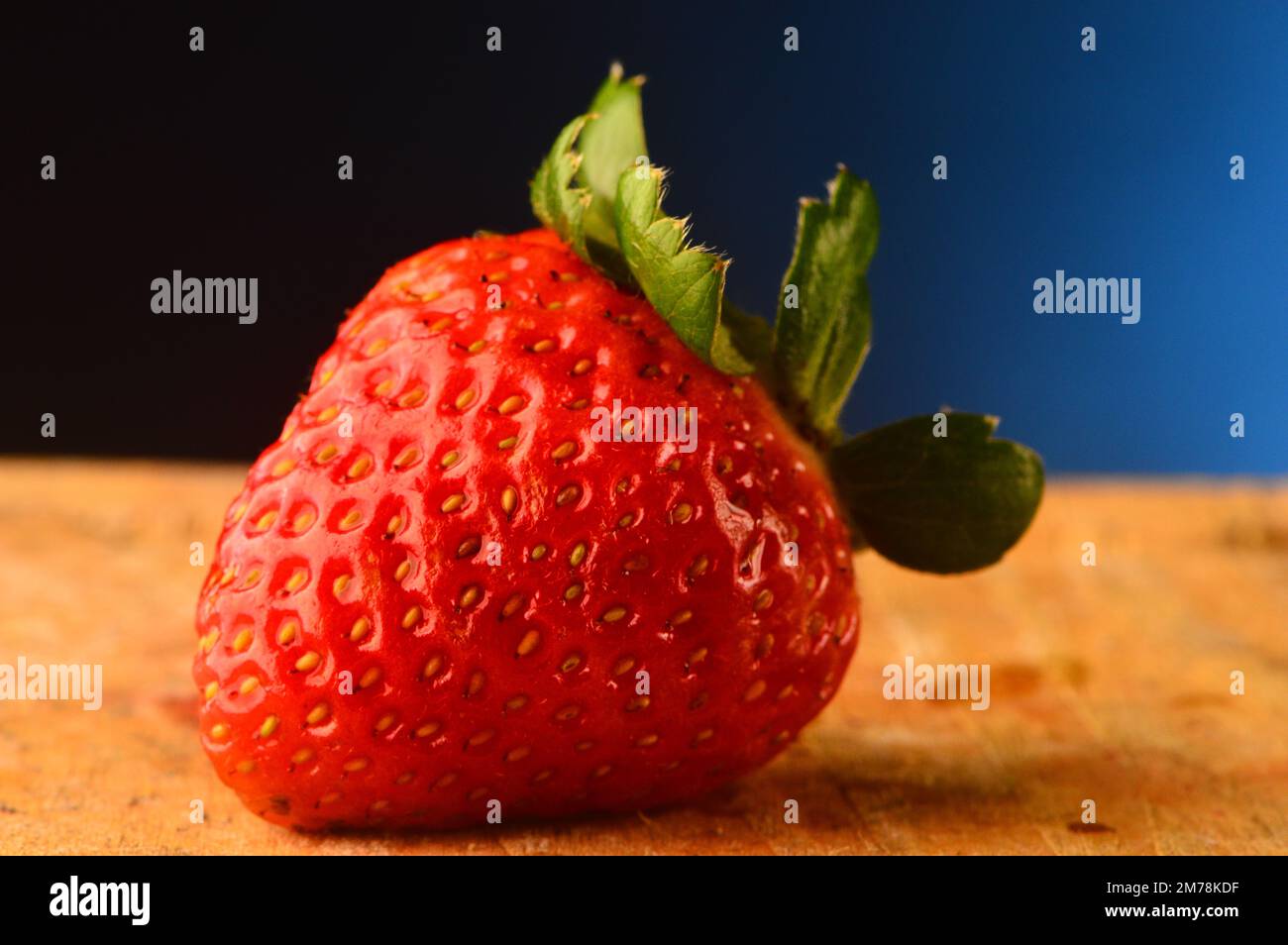 Strawberry on studio shot, blue background Stock Photo - Alamy