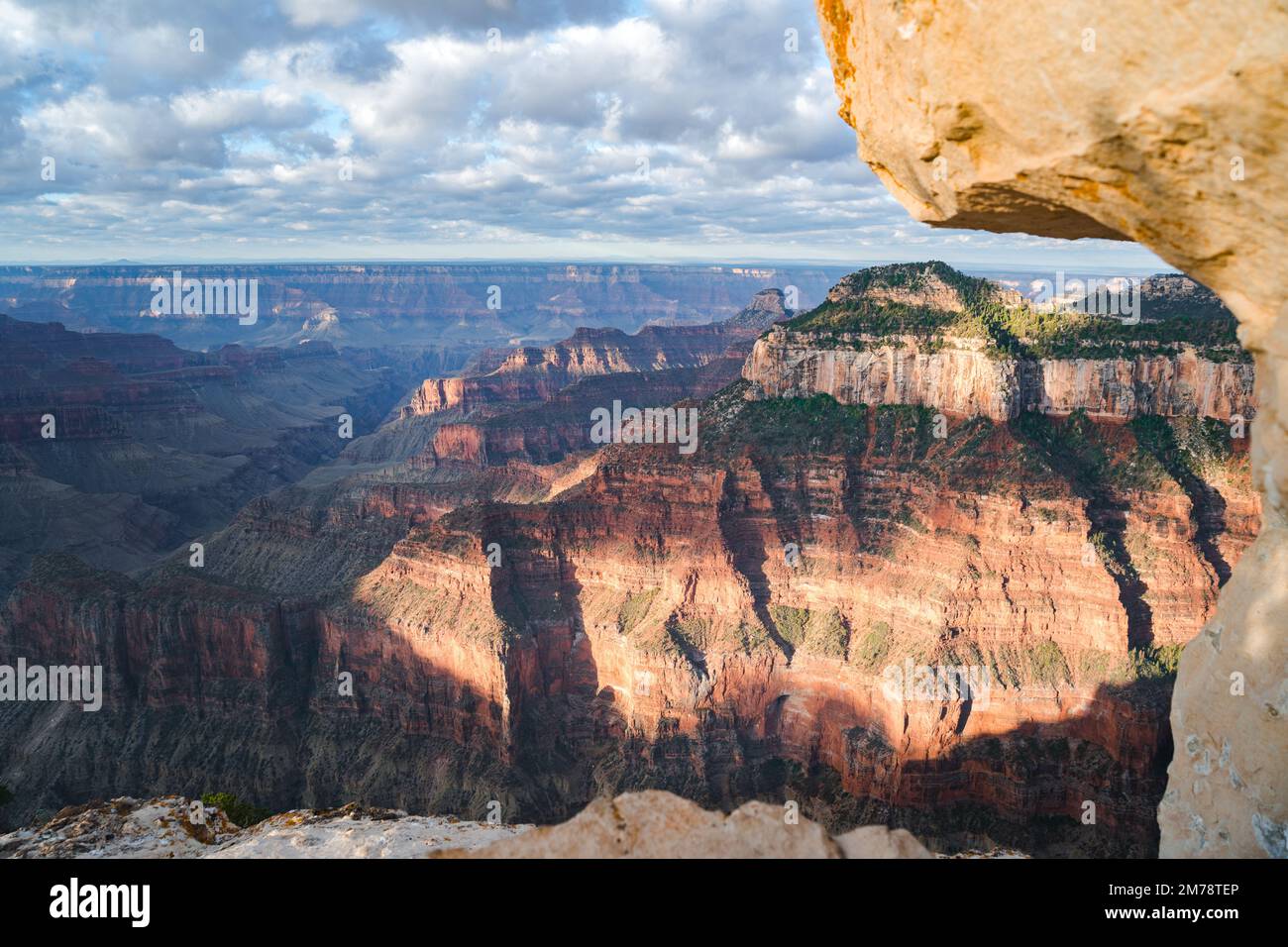 panorama view of north rim grand canyon national park Stock Photo