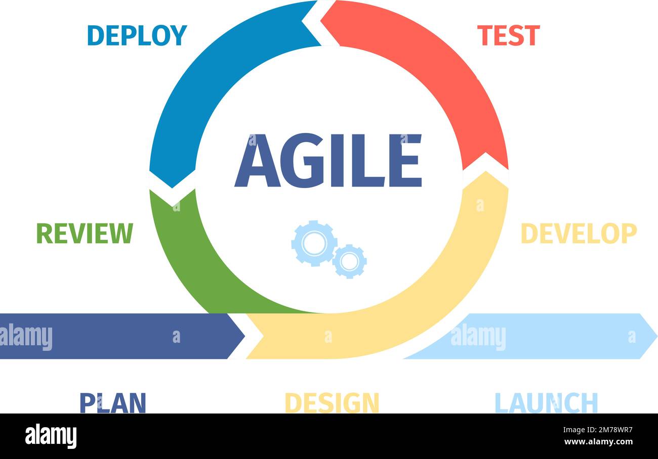Agile management and develop process infographic. Work sprint cycling  diagram, scrum metod in project. Agility style working graphic recent  vector Stock Vector Image & Art - Alamy