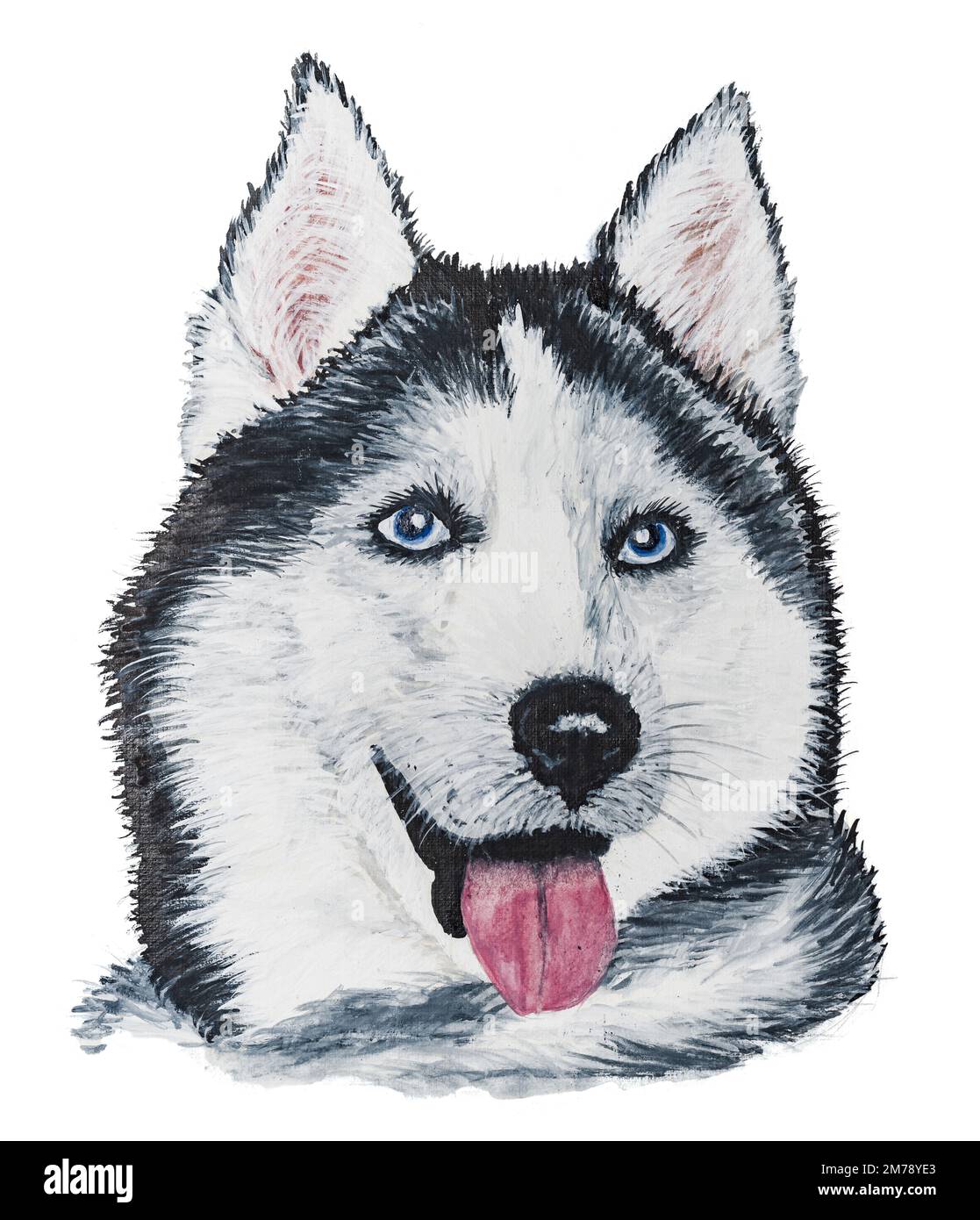 Husky dog portrait, watercolor painting Stock Photo