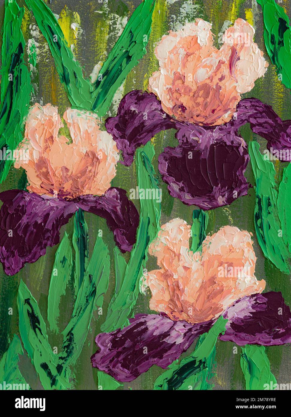 Purple and pink irises, oil painting Stock Photo Alamy