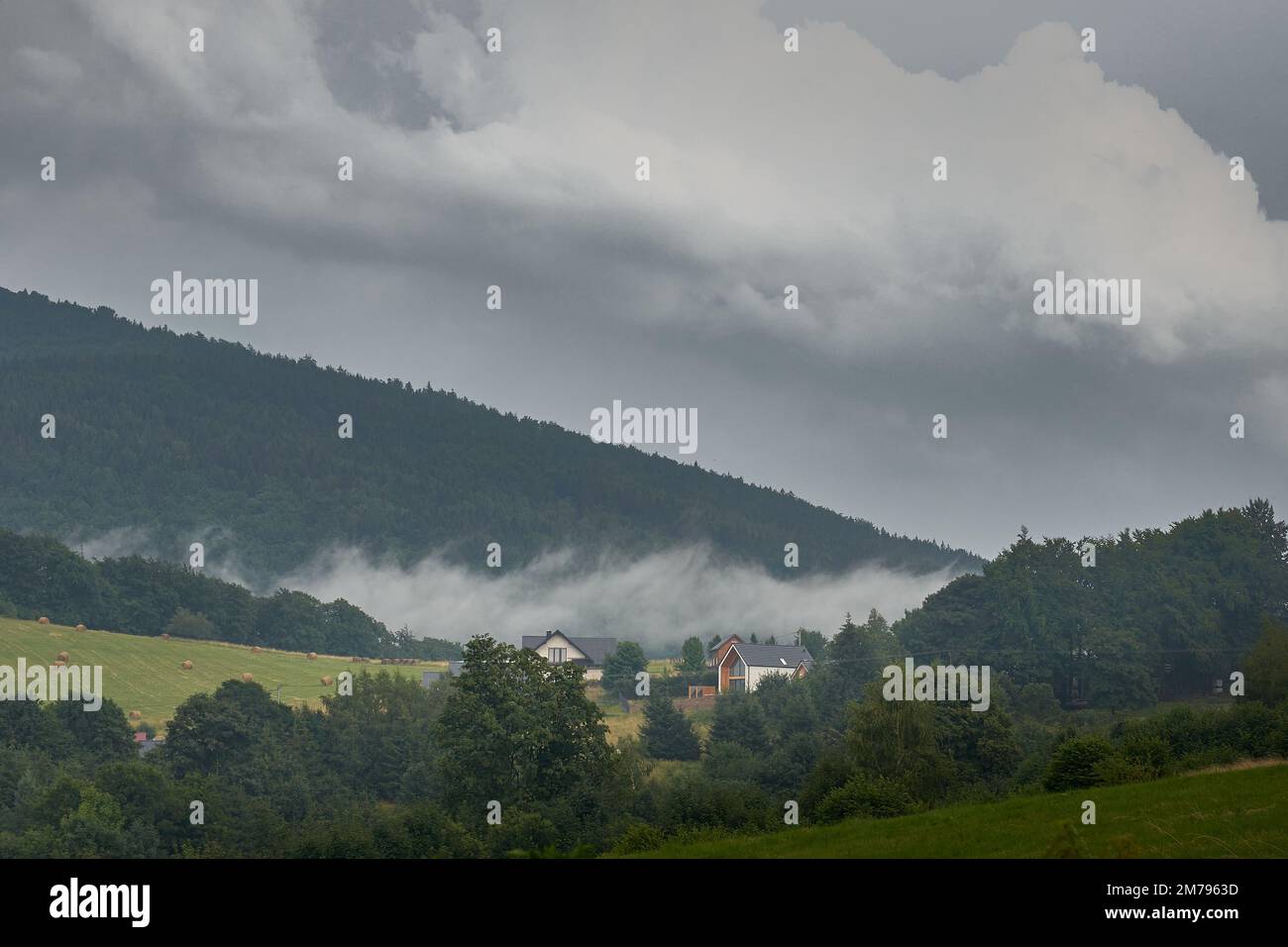 An aerial view of a beautiful forest on a foggy day Stock Photo - Alamy