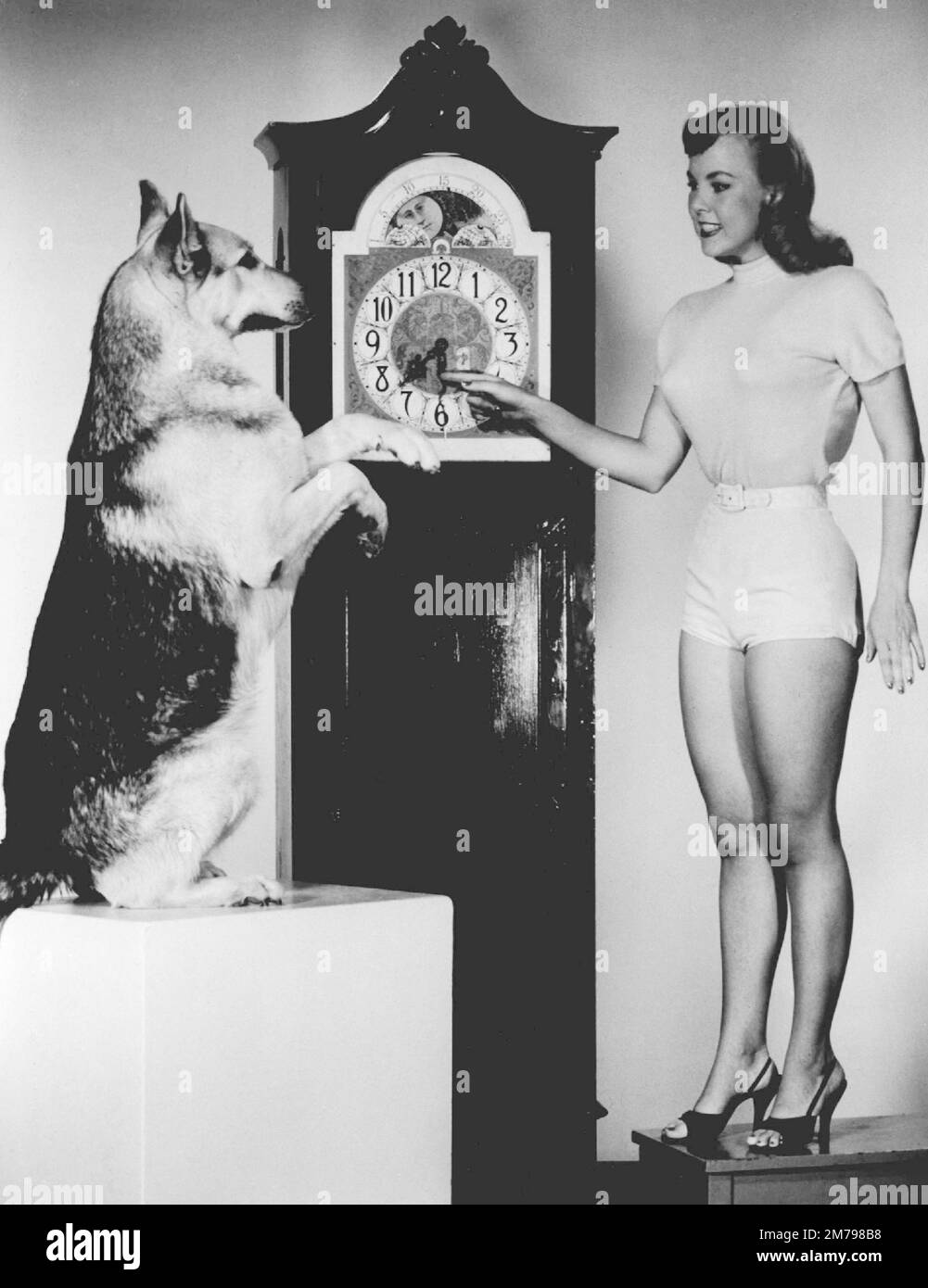 Promotional photo of Rin Tin Tin and actress Jana Lund reminding people that Daylight Saving Time would soon begin - 1954 - 1959 Stock Photo
