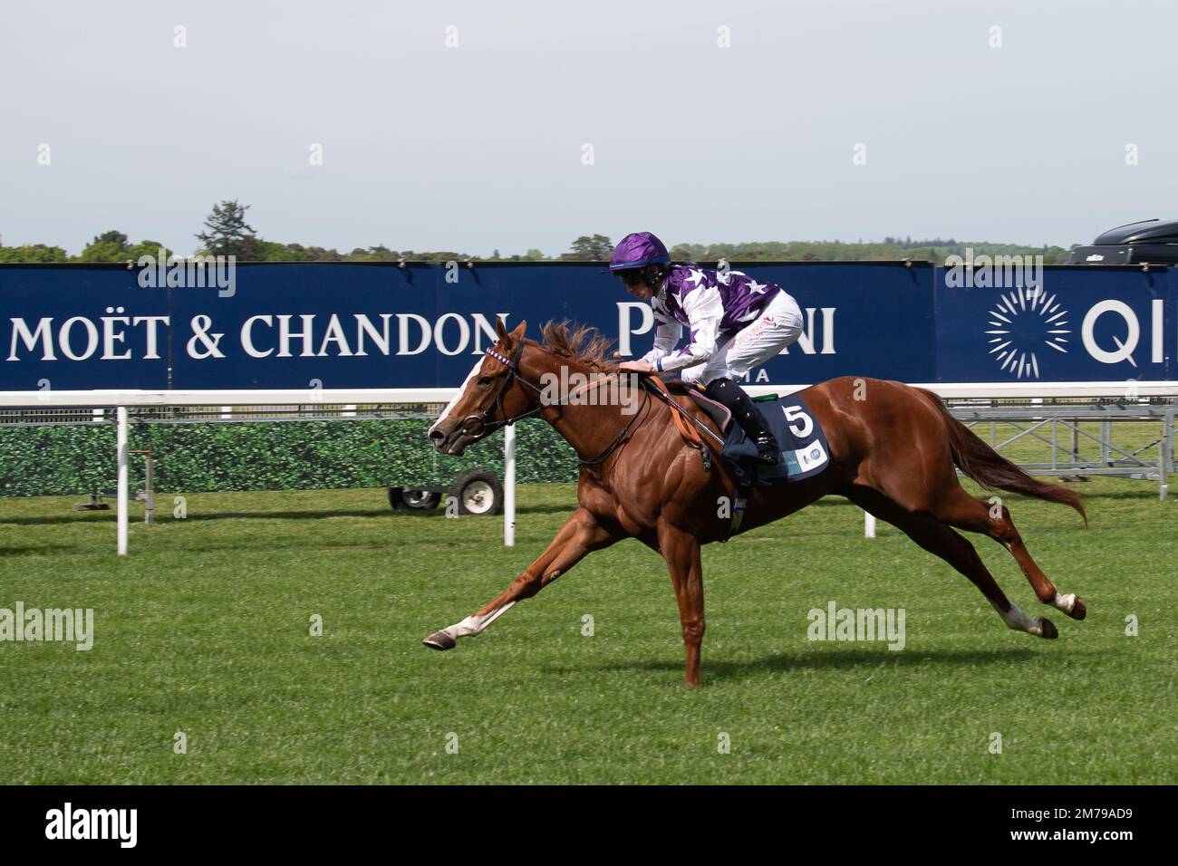David loughnane trainer hires stock photography and images Alamy