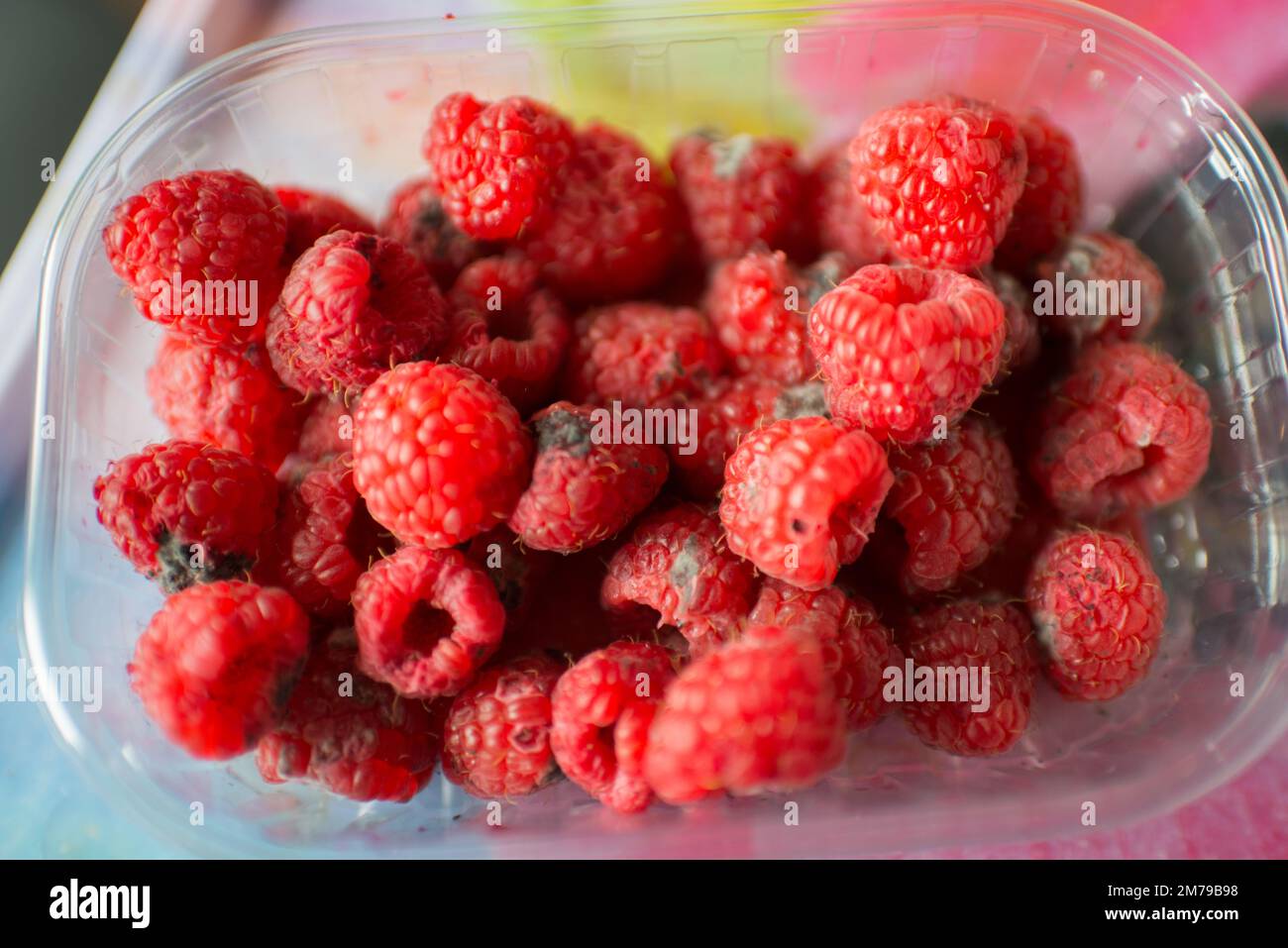 Plastic recipient with raspberries in bad condition, Bright red color Stock Photo