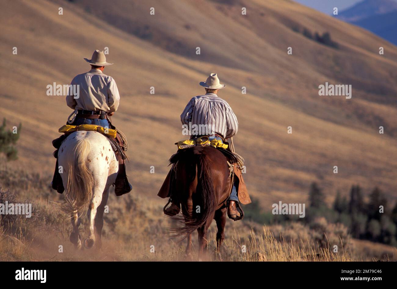 Nmmm hi-res stock photography and images - Alamy