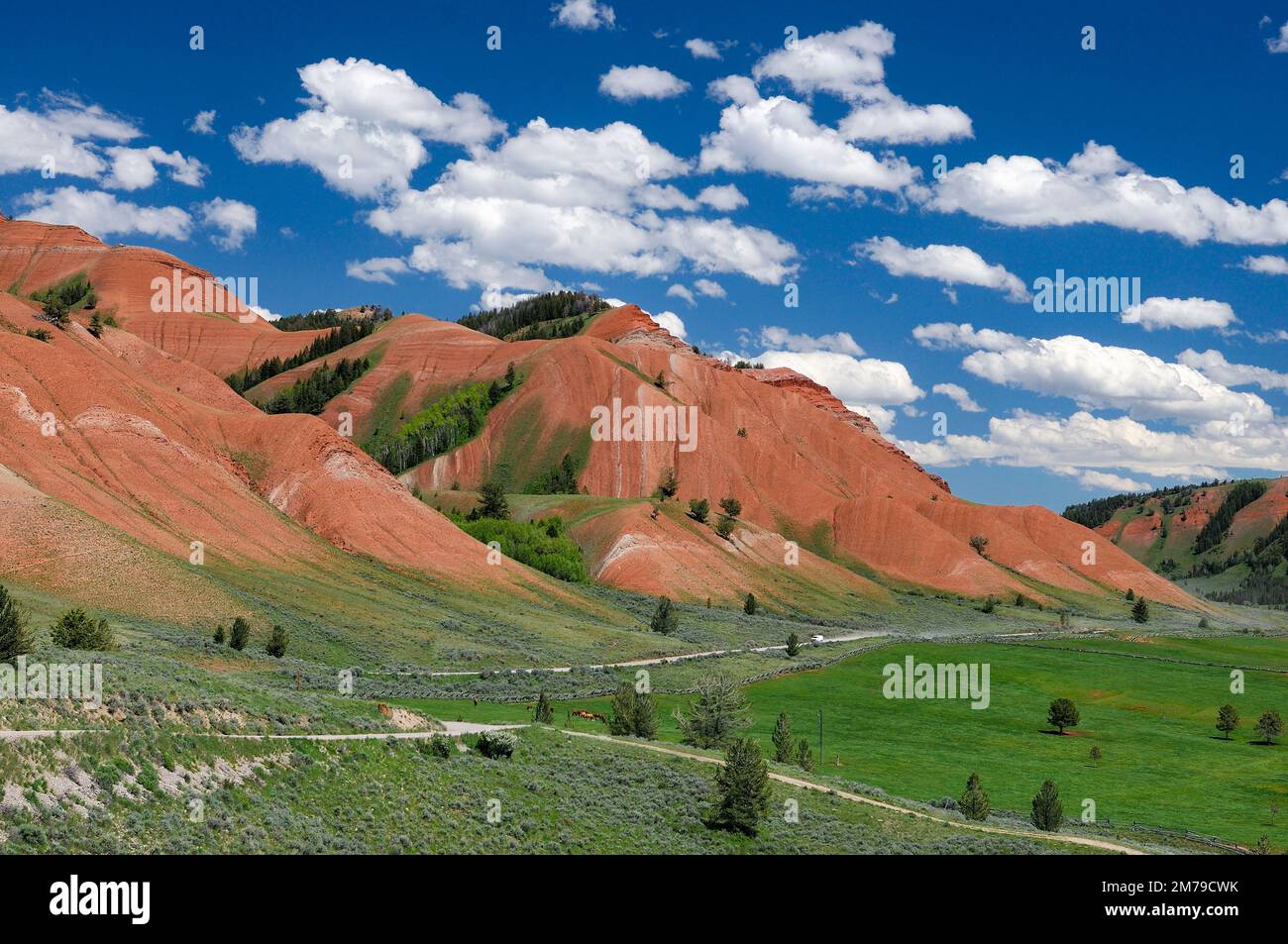 USA; Rocky Mountains; Wyoming; BridgerTeton National Forest , Gros