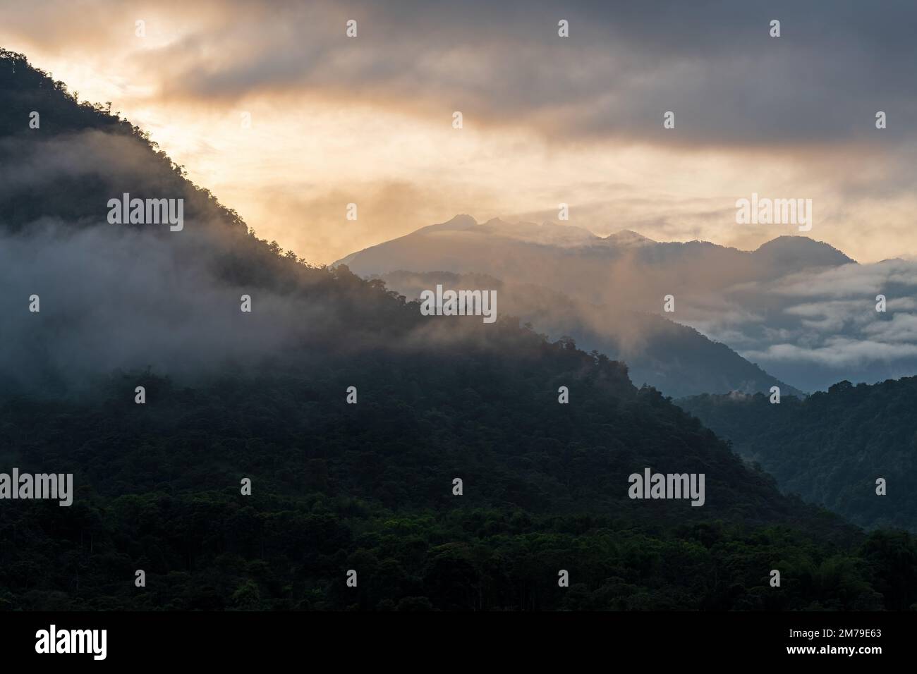 Mindo cloud forest at sunrise, Andes mountains, Ecuador. Stock Photo