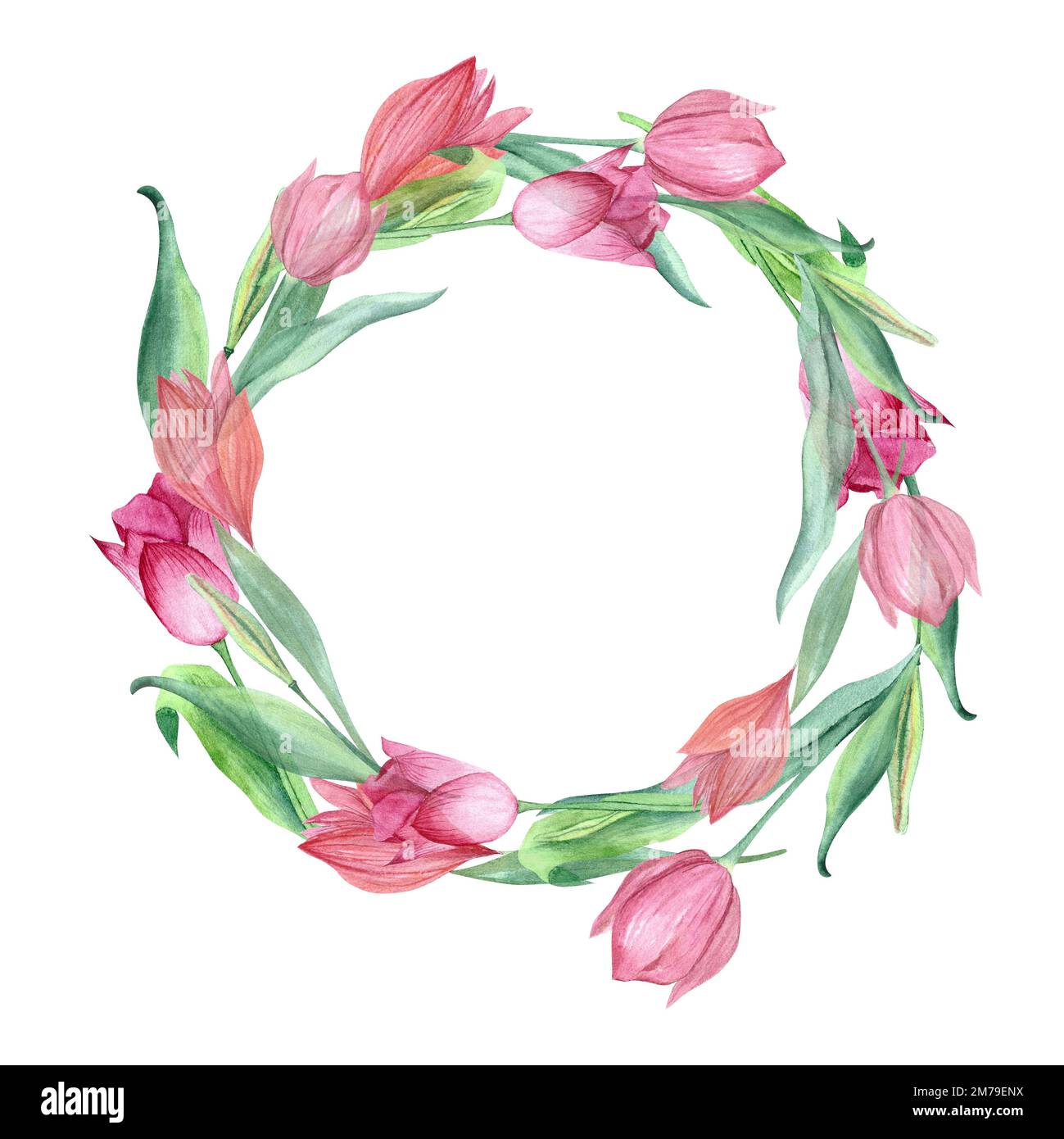 a wreath of tulips painted in watercolor on isolated white background ...