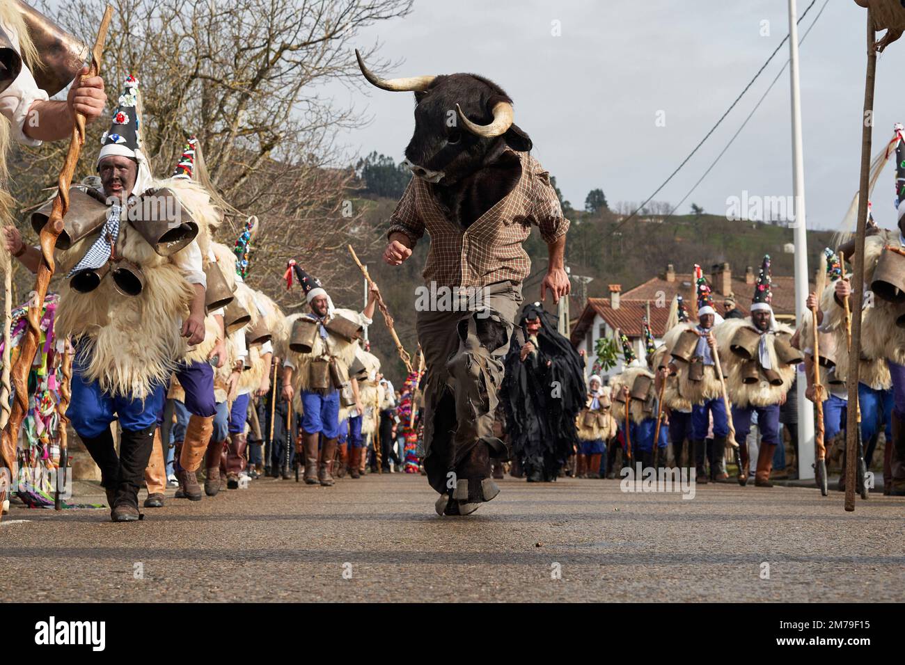 08 January 2023, Spain, Silió: The bull runs through the streets among the 'Zarramacos', the warriors of good. The Vijanera, a traditional carnival in northern Spain, is an ethnographic celebration that takes place at the winter solstice. Villagers dressed in natural costumes dance loudly to welcome the New Year and drive away evil spirits. Photo: Felipe Passolas/dpa Stock Photo