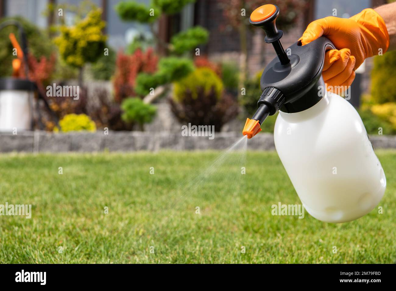 Closeup of Handheld Pump Pesticide Sprayer in Hand of Gardener