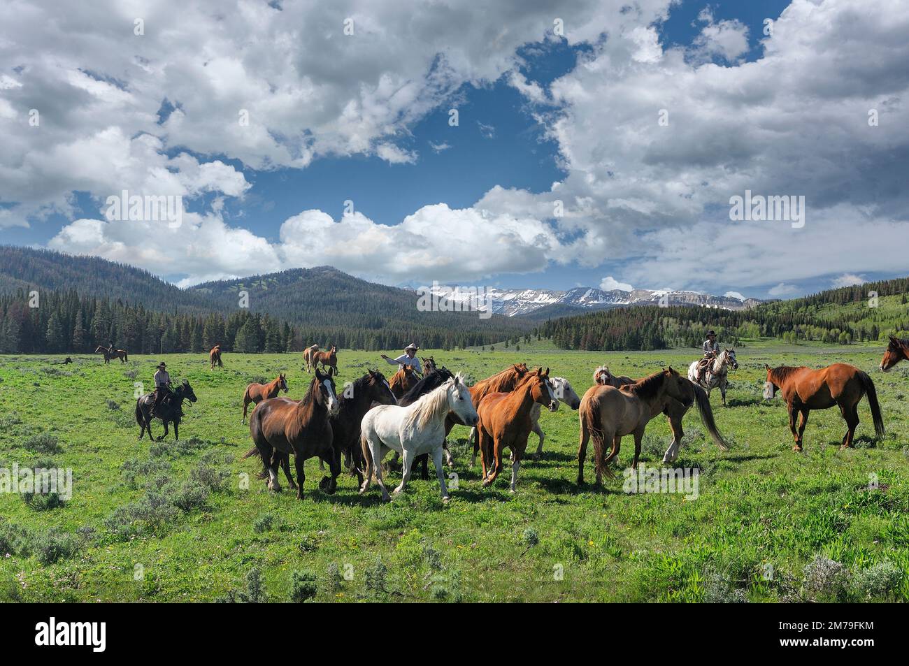 USA; Rocky Mountains; Wyoming; Sublette County; Pinedale; Flying A Ranch; (m) Stock Photo