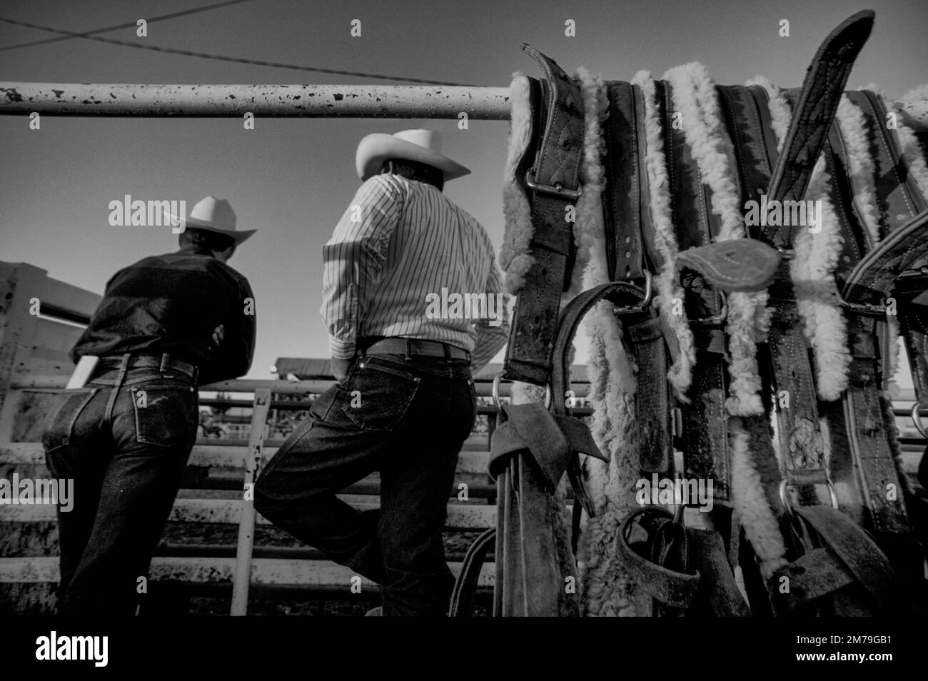 Whitewater Rodeo Wyoming rodeo Black and White Stock Photos & Images - Alamy