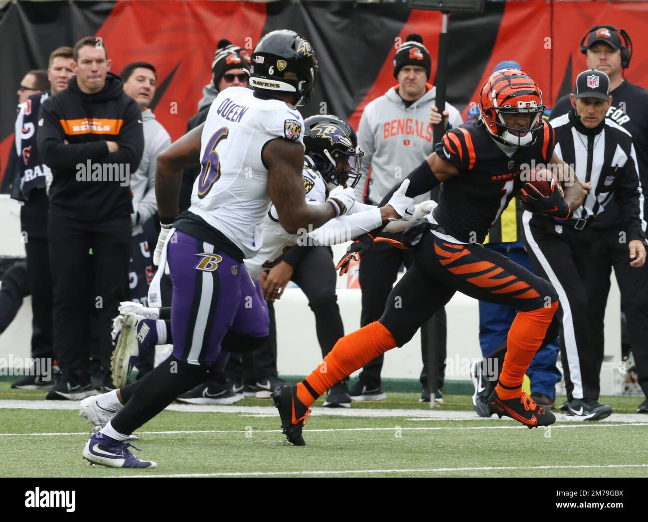 Bengals ravens hi-res stock photography and images - Alamy