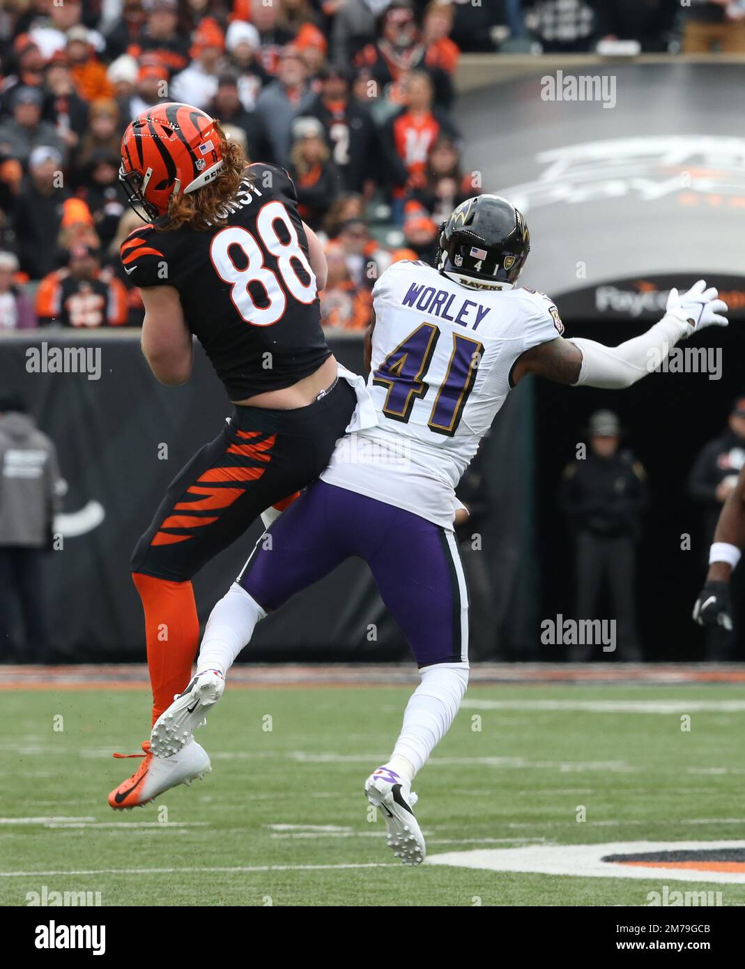 Hayden hurst bengals hires stock photography and images Alamy
