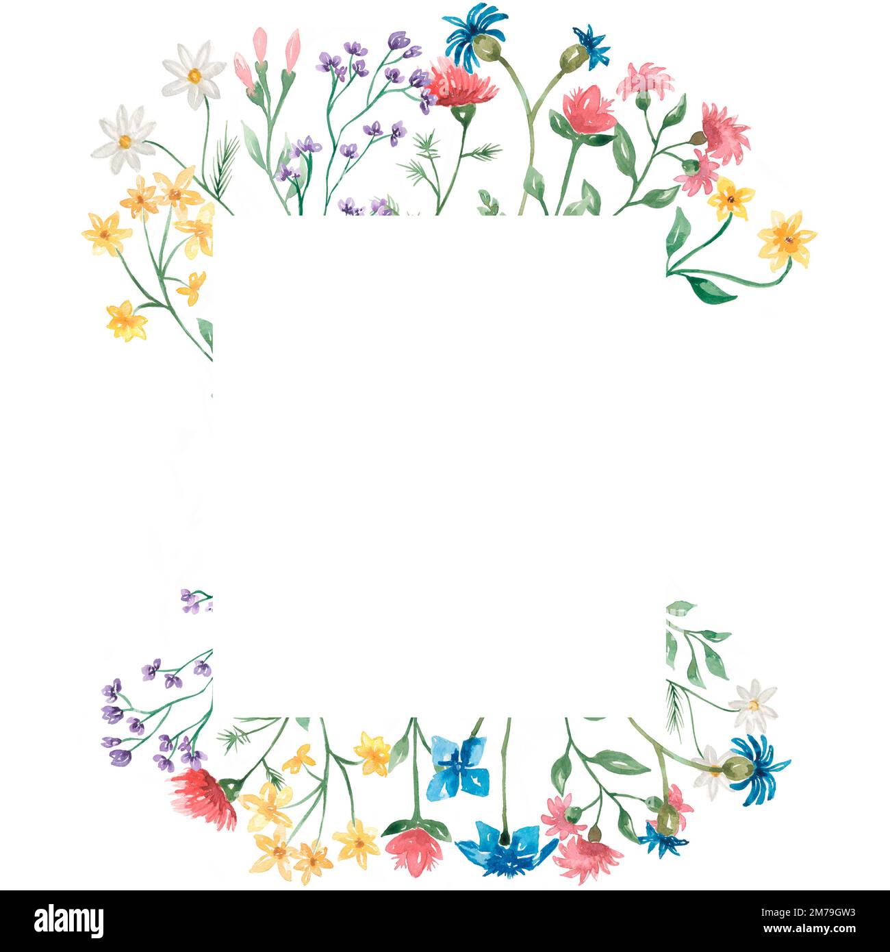 Hand drawn watercolor wildflowers wreath illustration.Wildflower ...