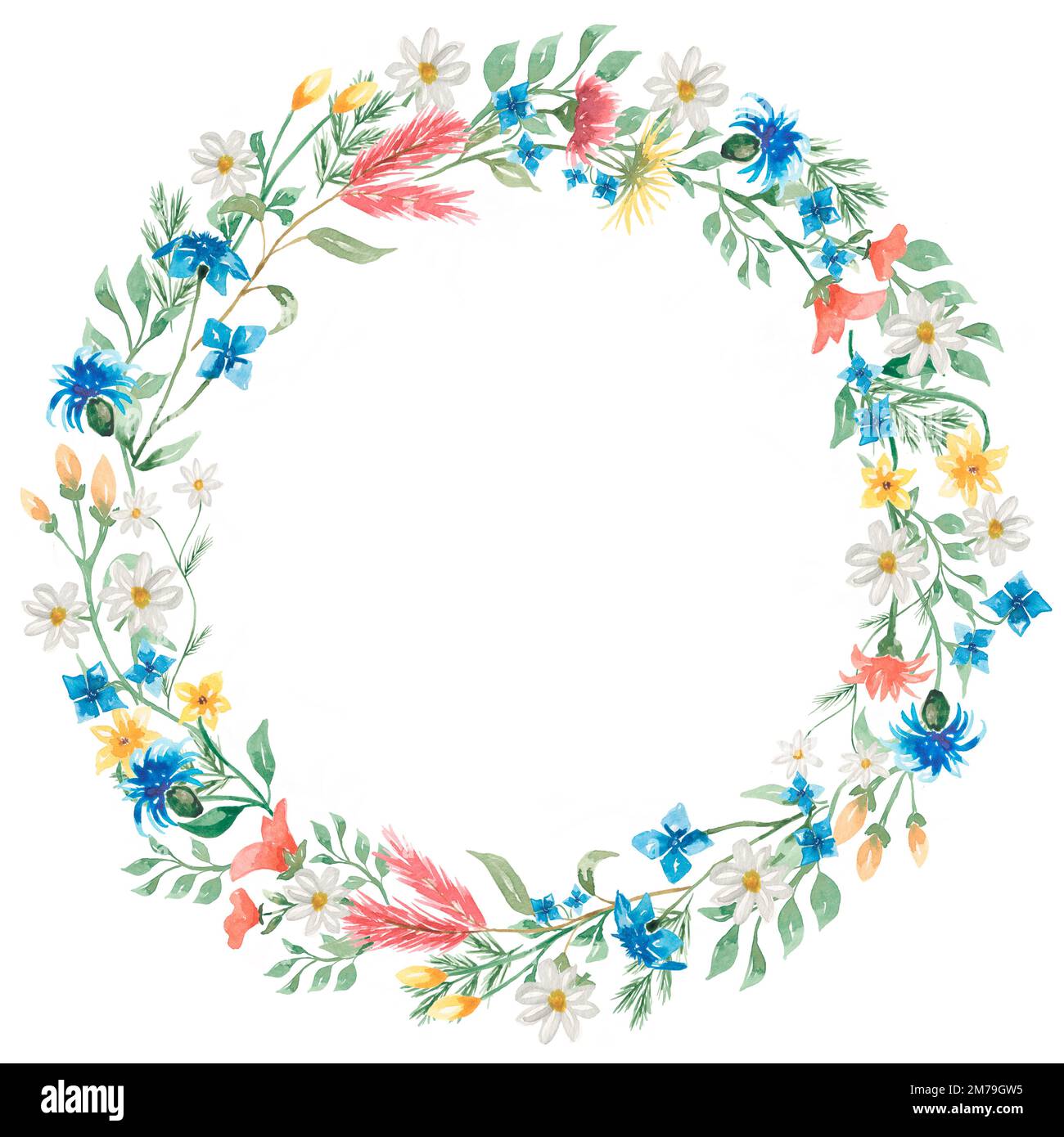 Hand drawn watercolor wildflowers wreath illustration.Wildflower ...