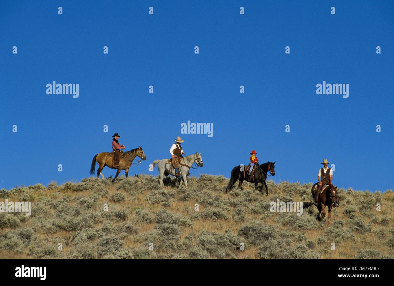USA, Wyoming, Rocky Mountains, Fremont County, Lander, Oregon trail, Stock Photo